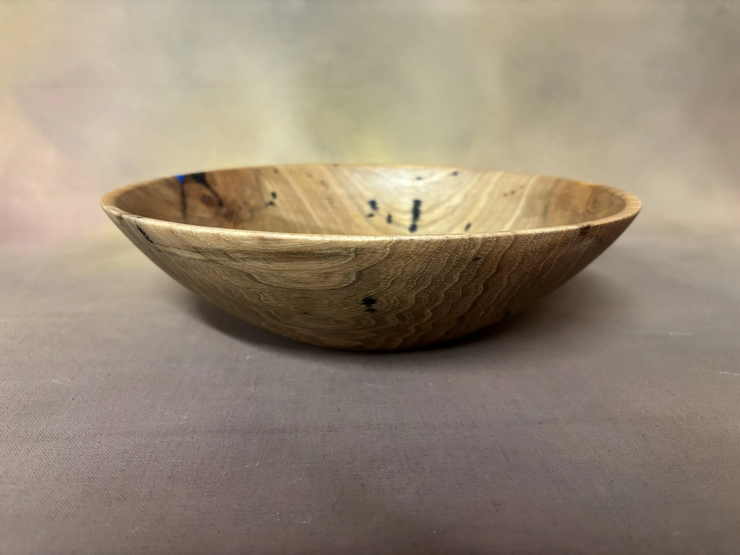 Thursday 2026-01-29 038.JPG