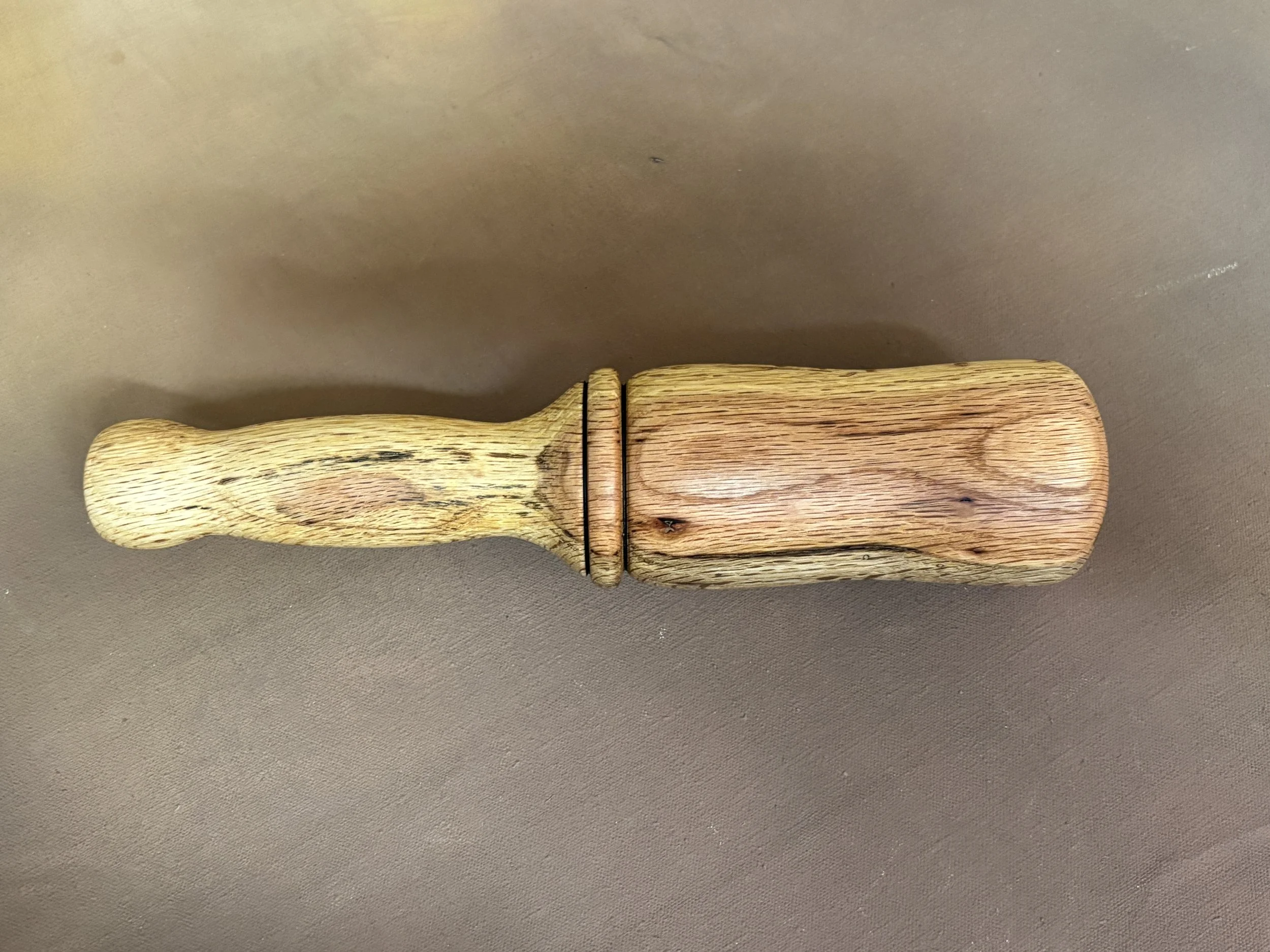 Snday 2026-02-22 006.JPG