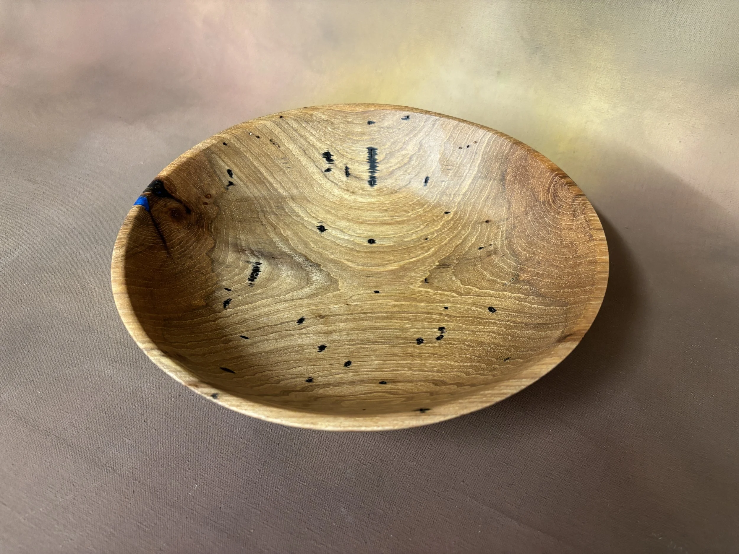 Thursday 2026-01-29 042.JPG