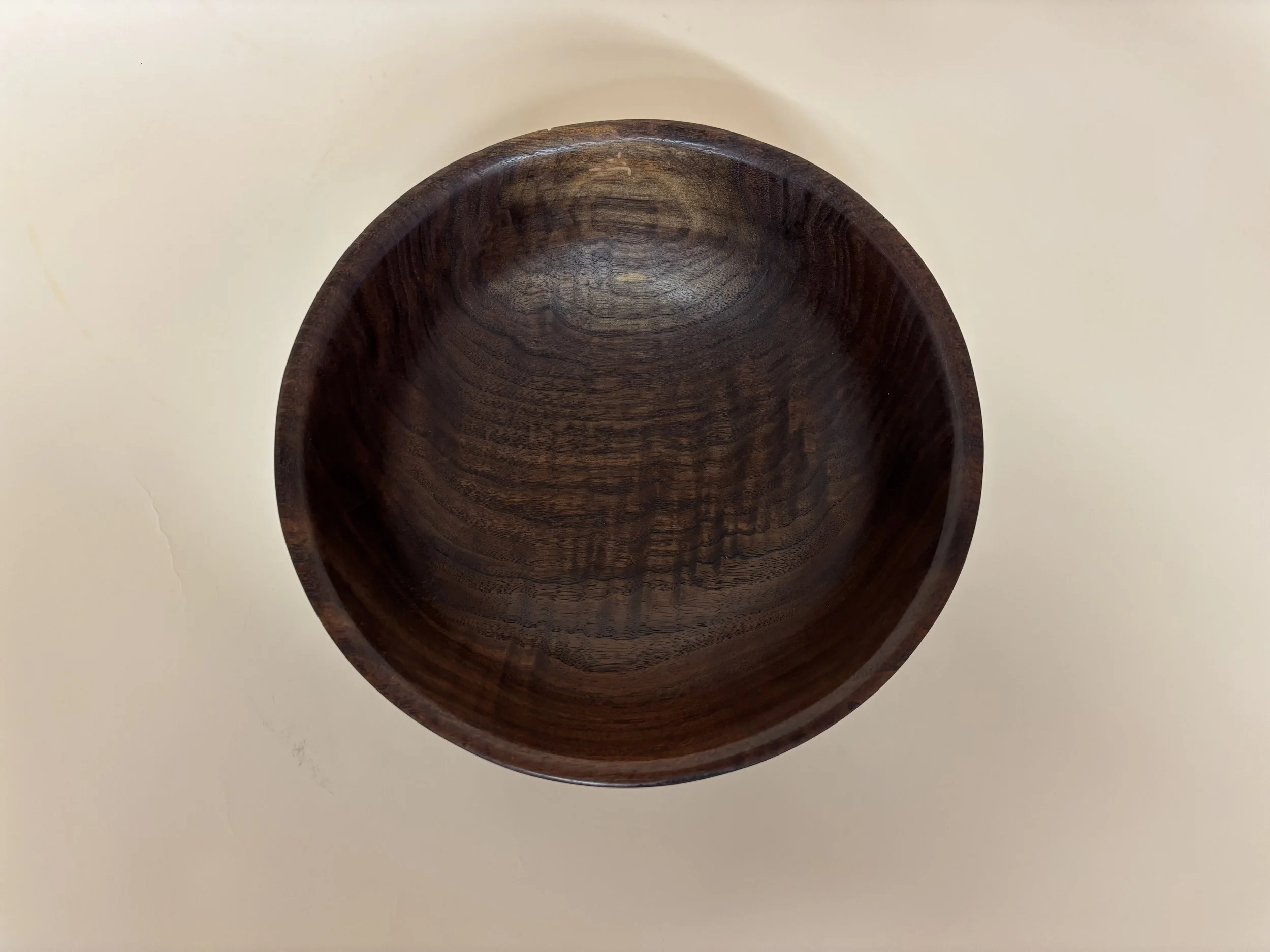 Latest Pic 2026-02-22 003.JPG