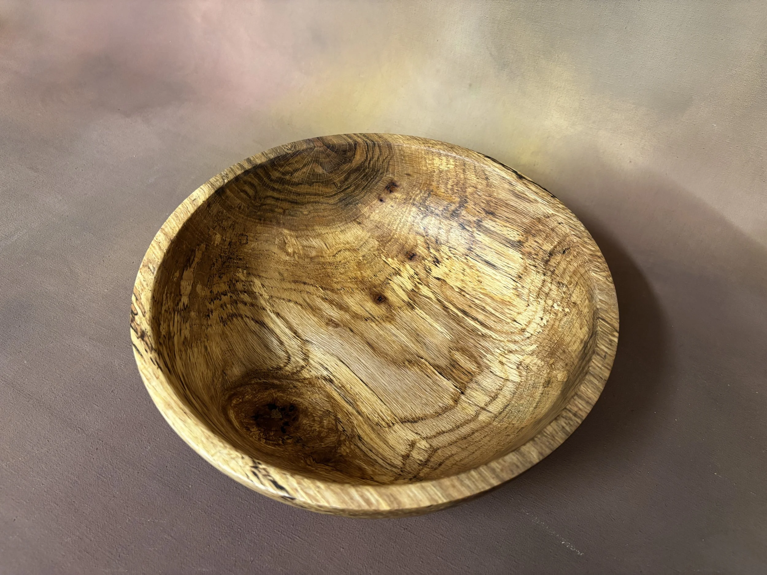 Thursday 2026-01-29 033.JPG