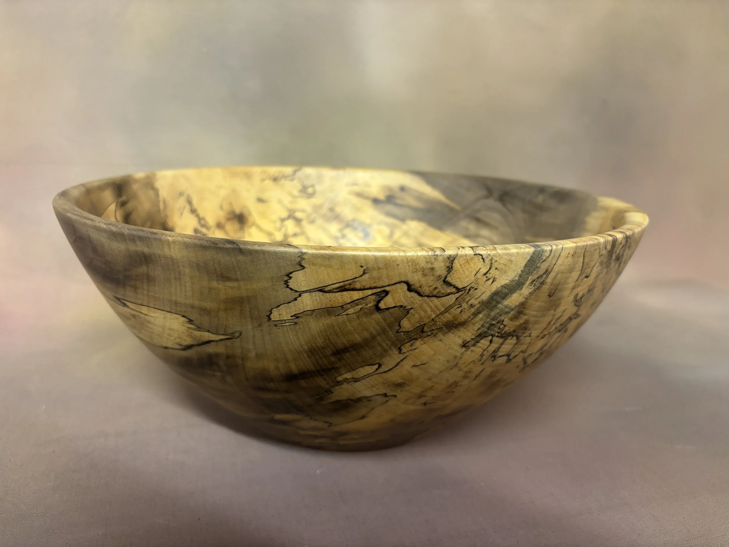 Saturday 2026-01-31 014.JPG