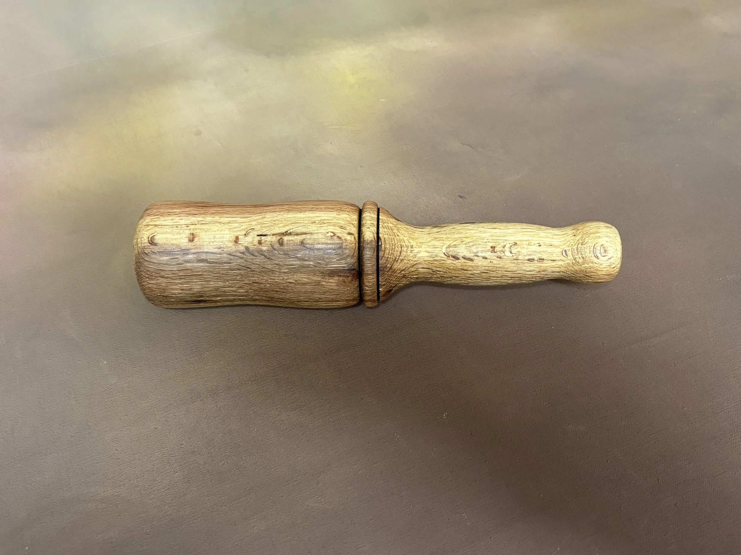 Snday 2026-02-22 003.JPG