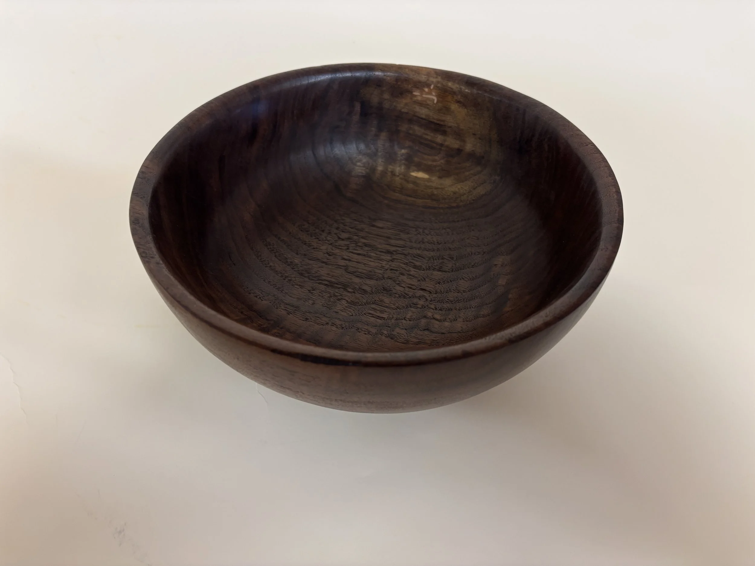 Latest Pic 2026-02-22 002.JPG