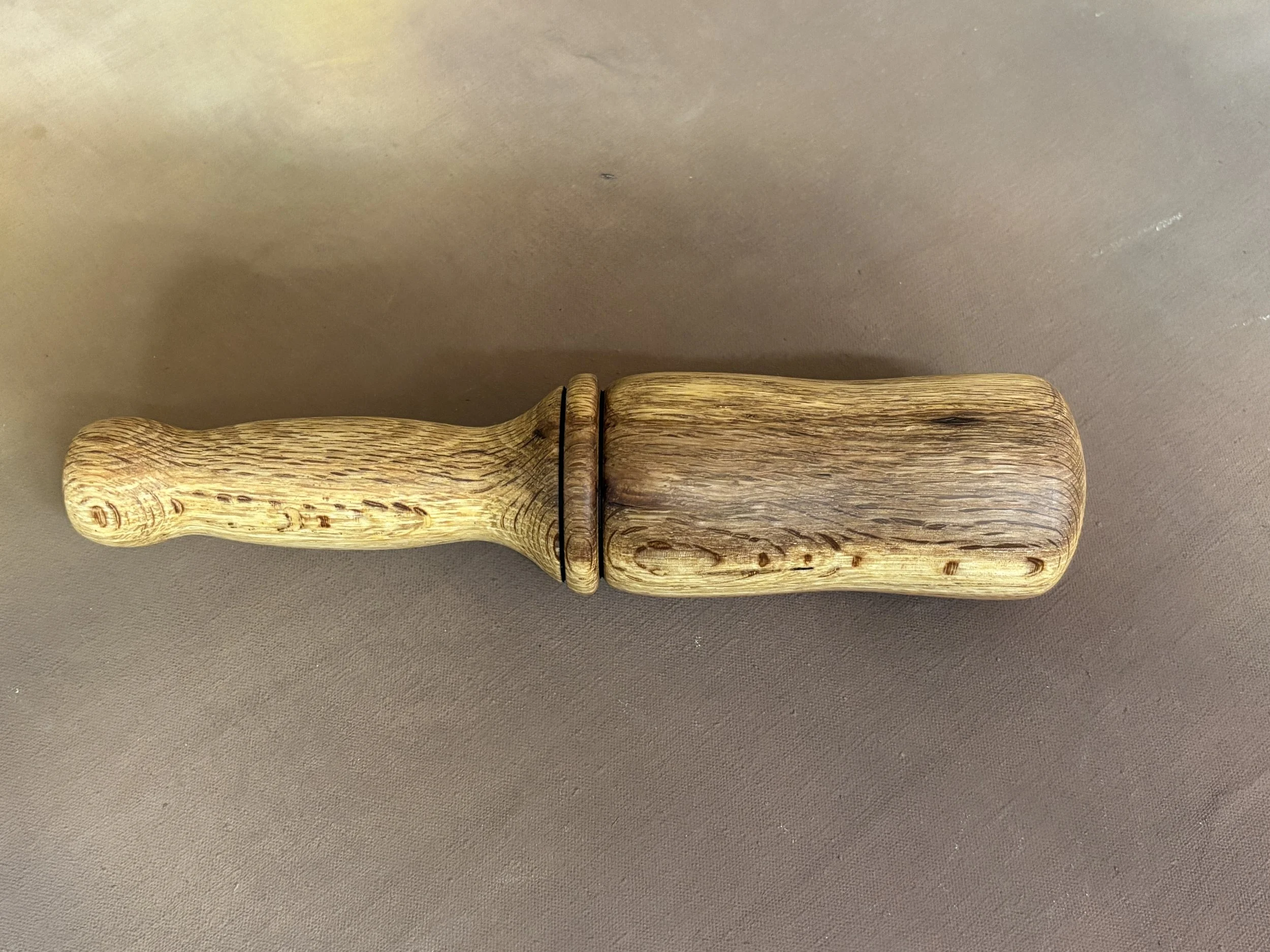 Snday 2026-02-22 005.JPG