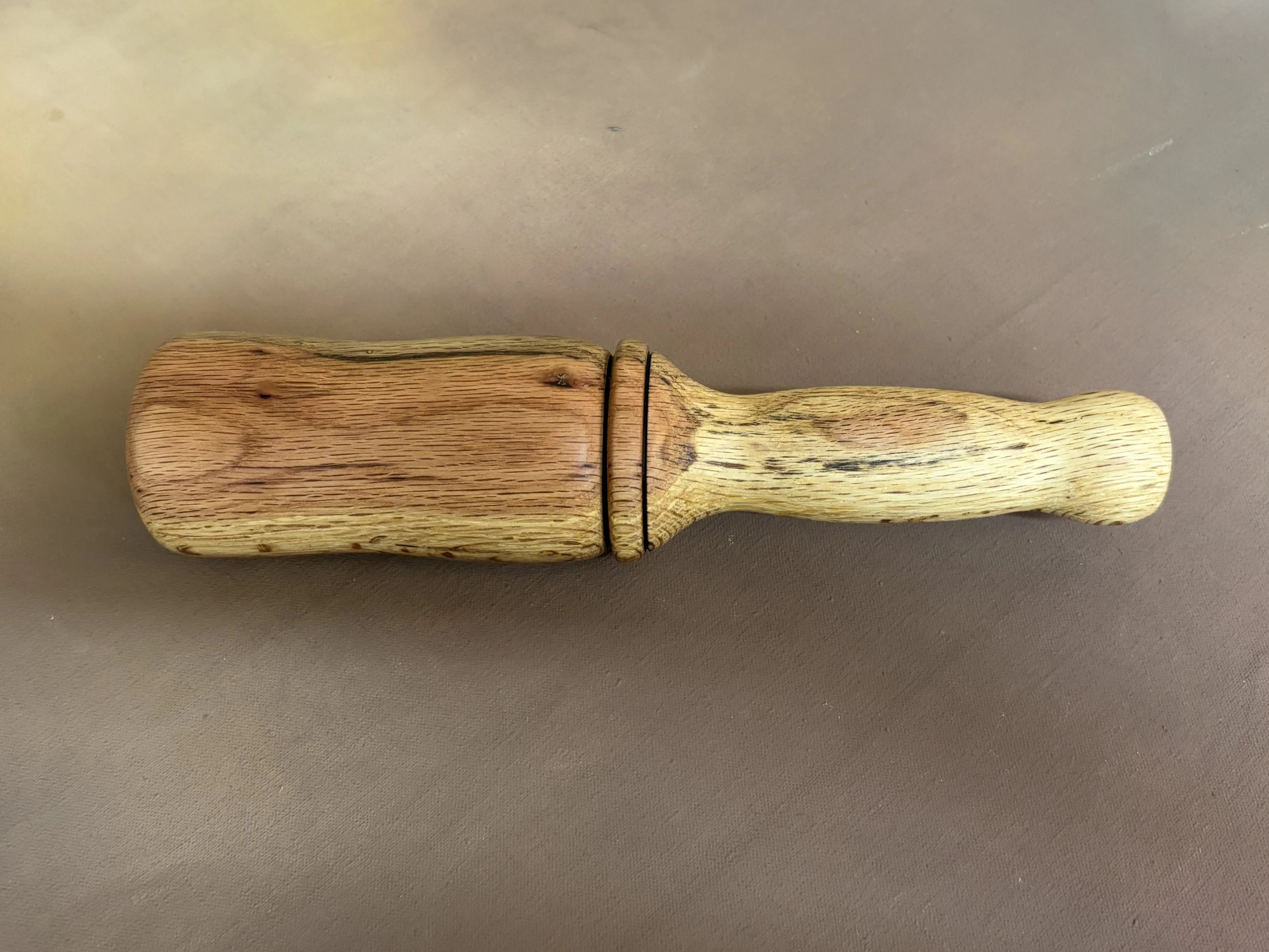 Snday 2026-02-22 004.JPG