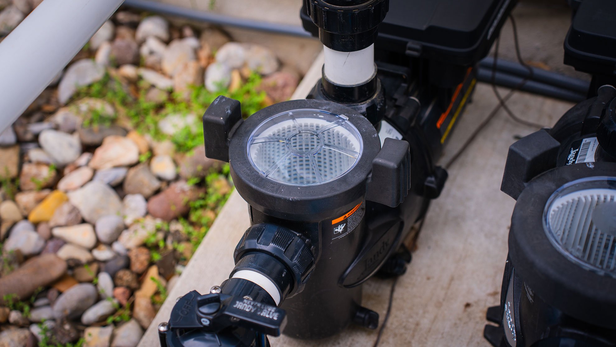 Pool pump and filter system installed outside on concrete, with rocks and small plants nearby.