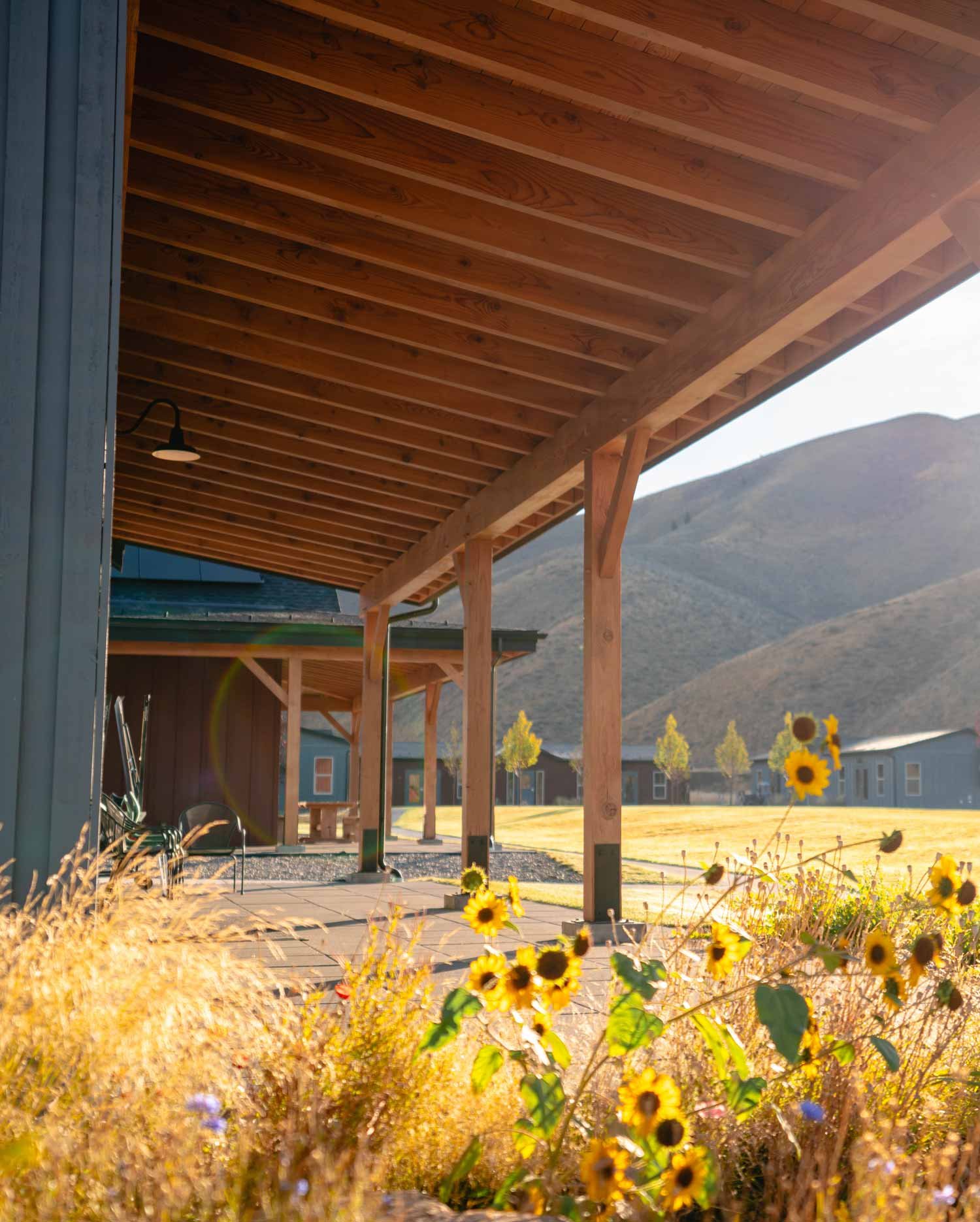 Sage-School-10-web.jpg