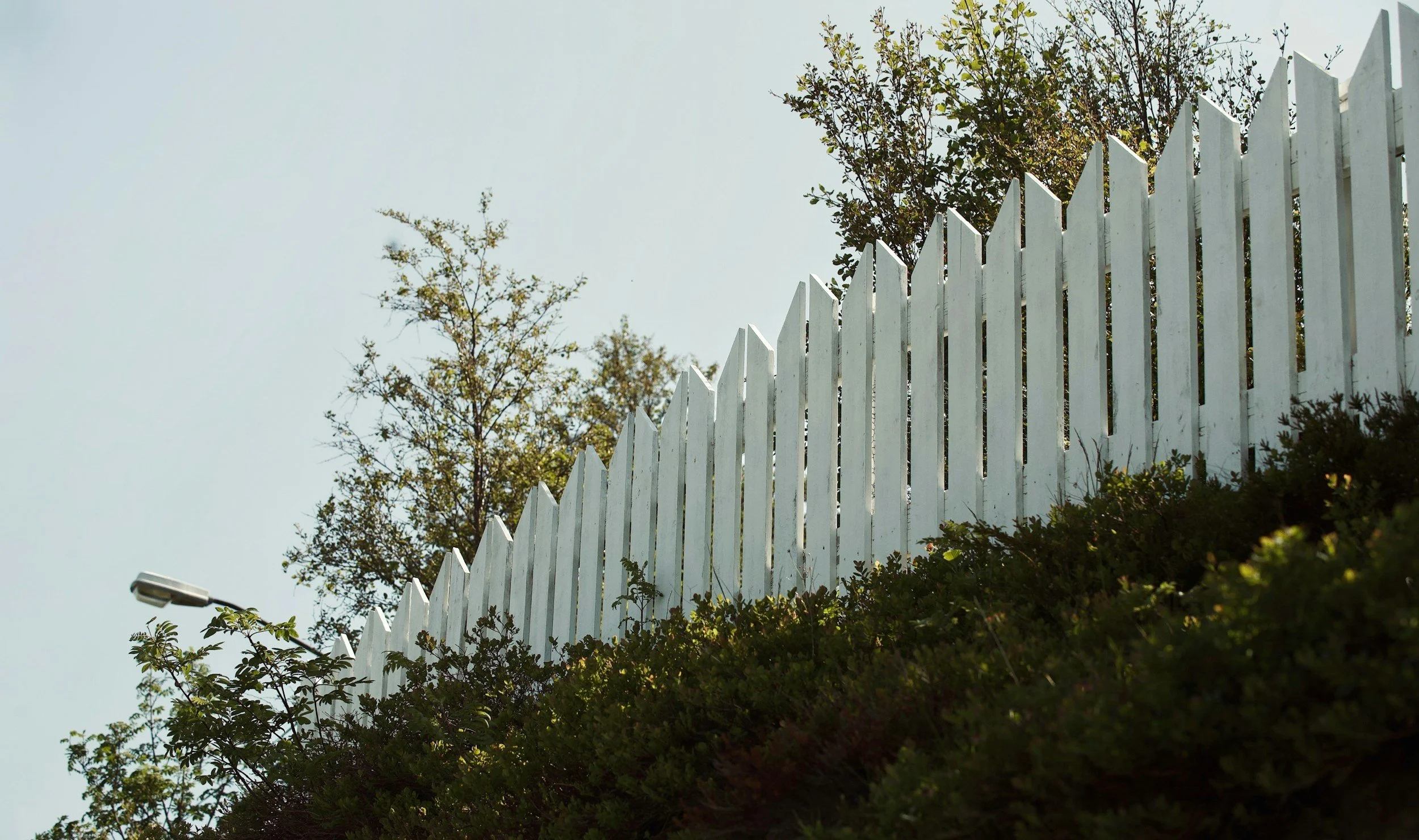 A white picket fence on a hill with green bushes and trees, against a pale sky.