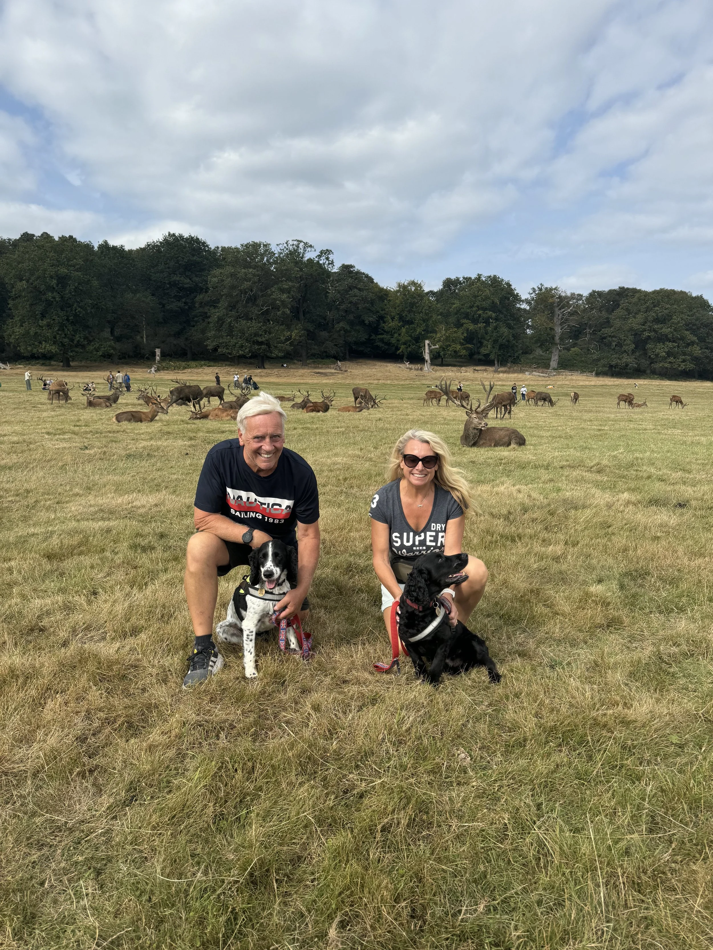 Two people squatting on a grassy field with their dogs, surrounded by deer and a backdrop of trees and cloudy sky.