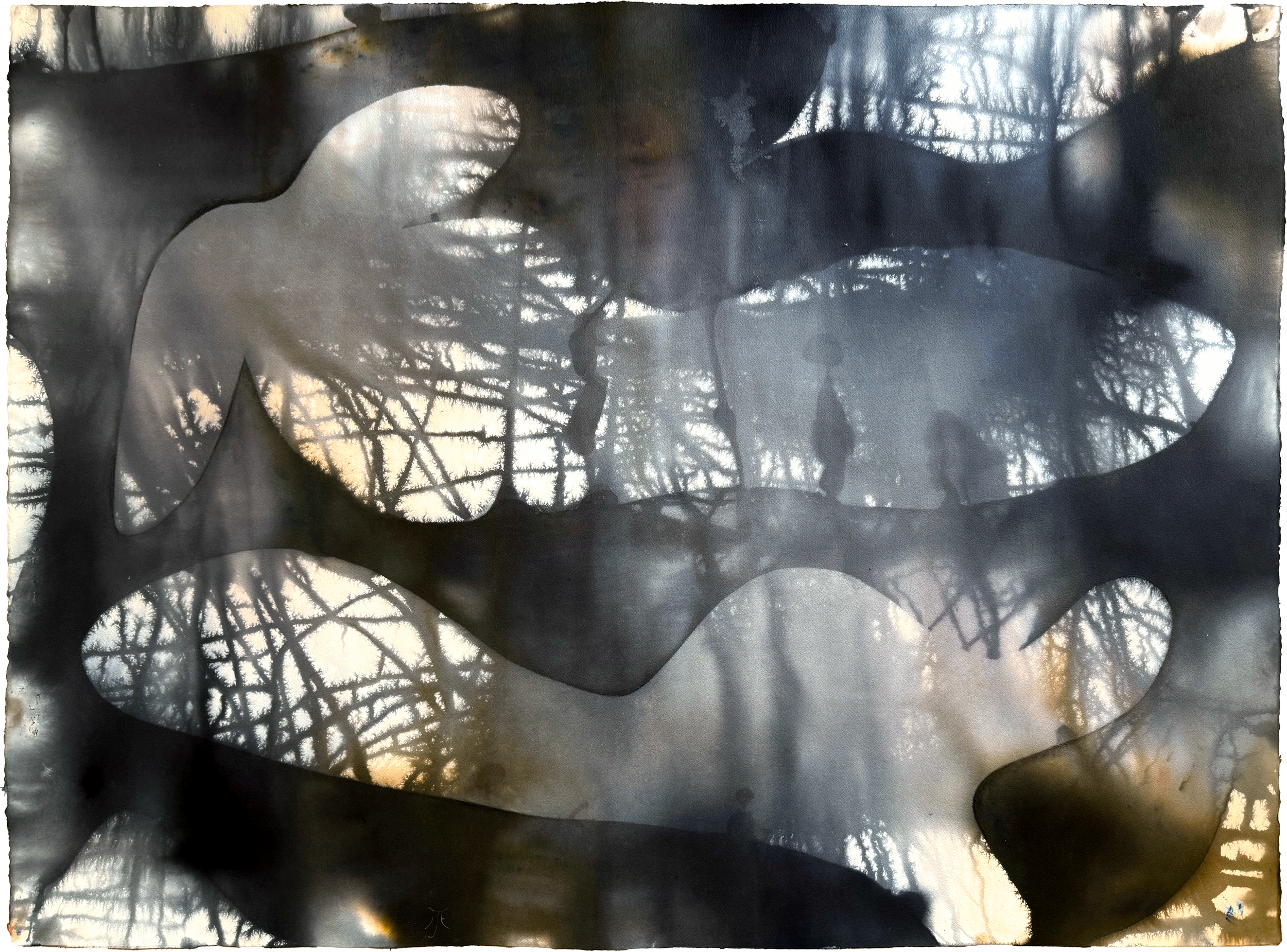 Duo, 2026. Dye on paper, framed — 52.5 x 40.75 in / 133 x 104 cm