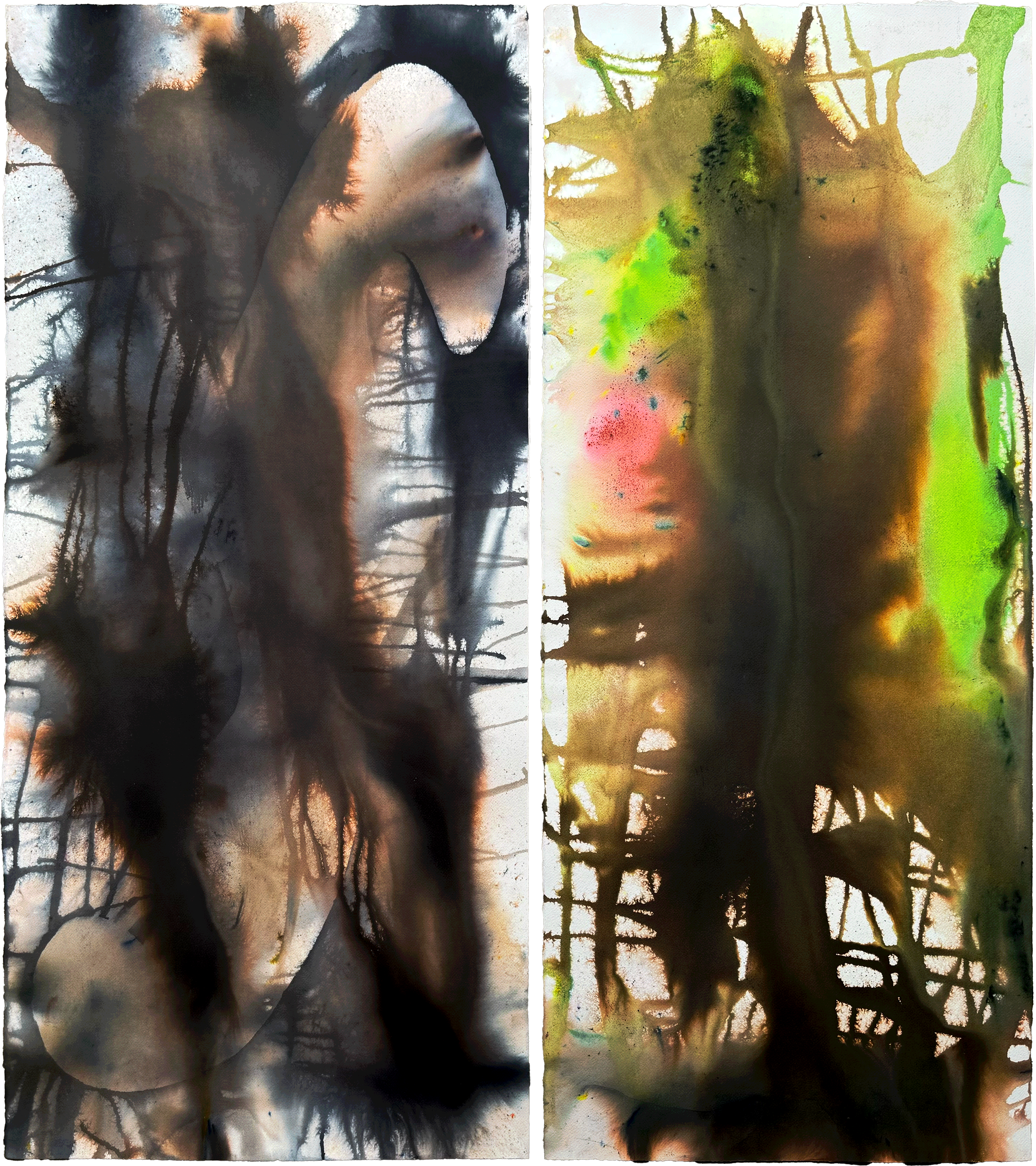 Thicket, 2026. Dye on paper, framed — 