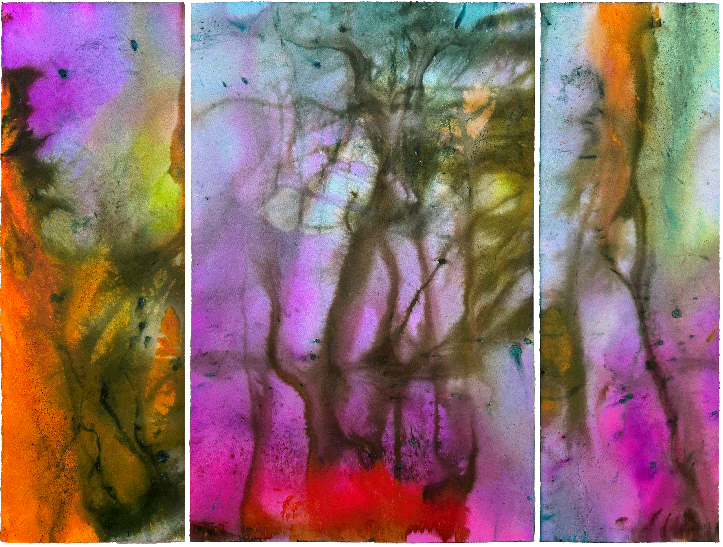 Enchanted Forest, 2025. Dye on paper, framed — 30 x 43 in / 76 x 109 cm