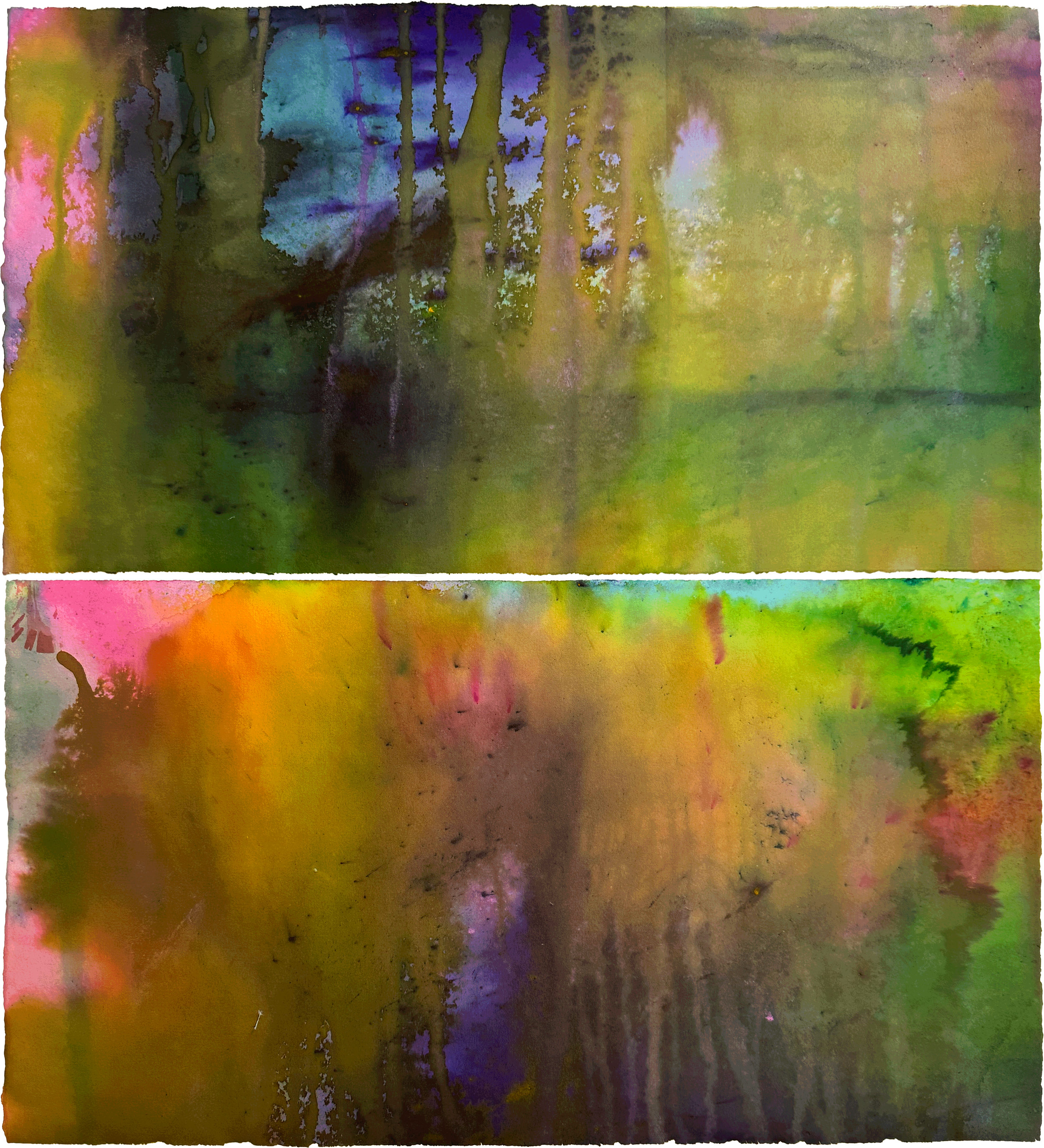 Martin, 2025. Dye on paper — 24 x 24 in / 61 x 6 cm