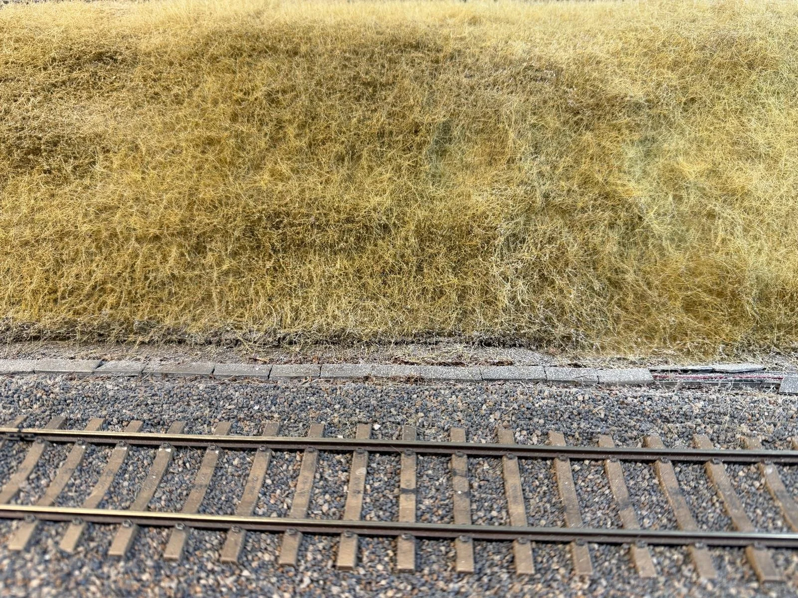 grass.jpg