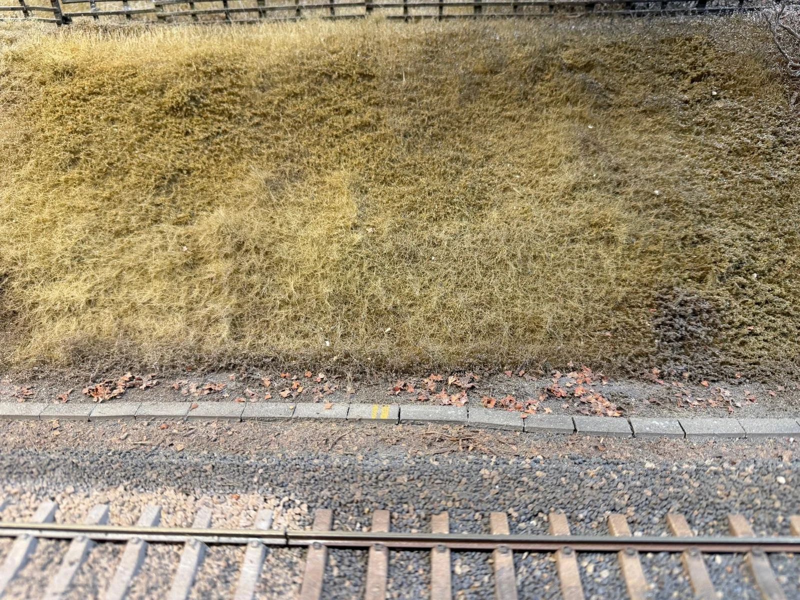 grass2.jpg