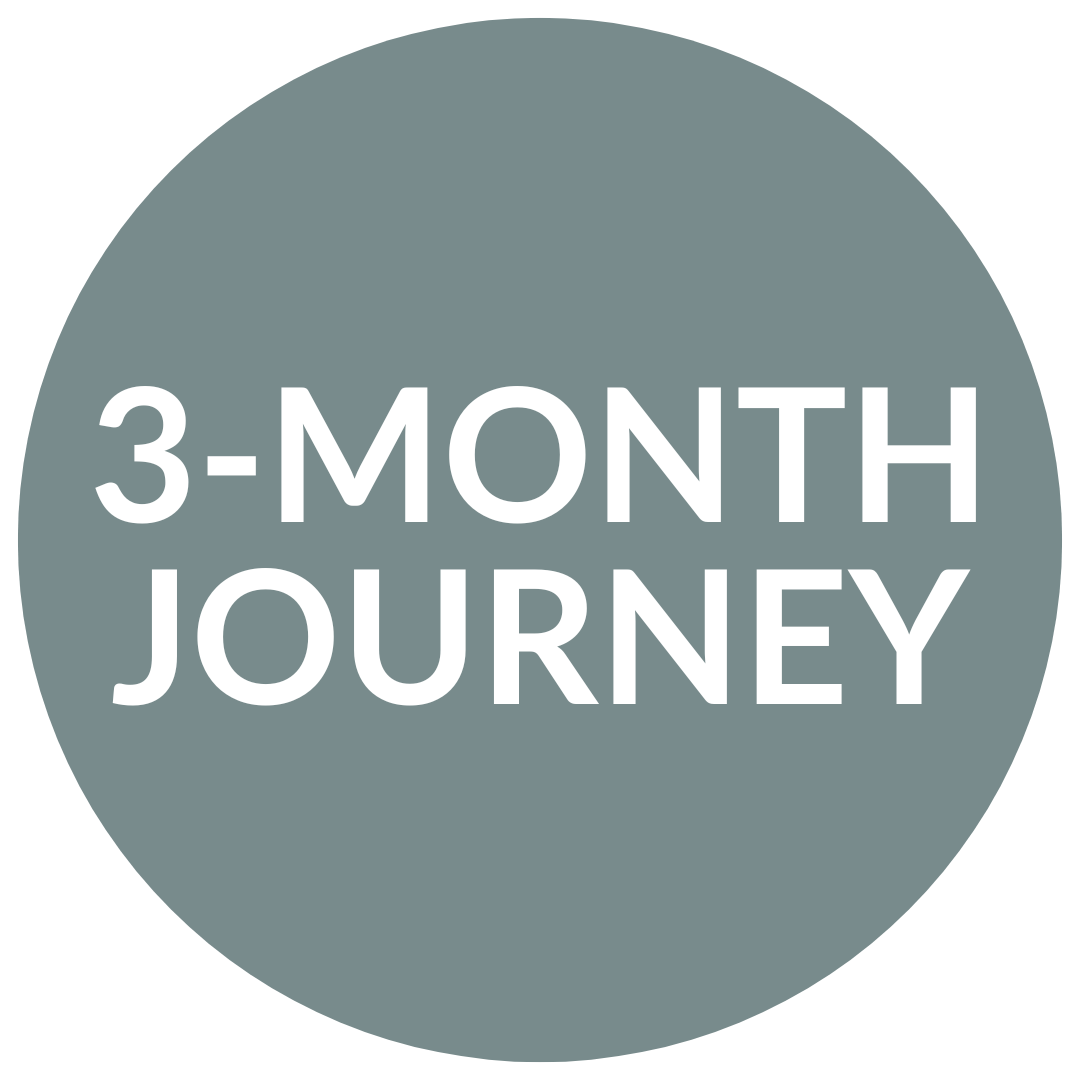 Grey circle with white text that reads "3-MONTH JOURNEY".