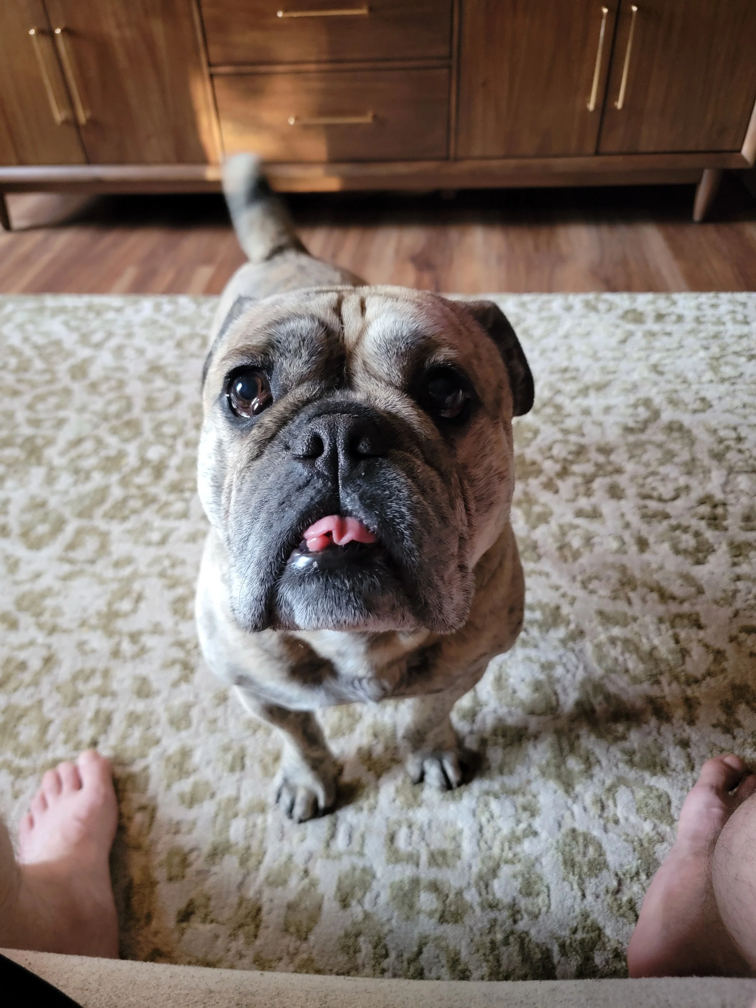 Sean Hantes, financial advisor for University of Rochester professionals in Victor NY