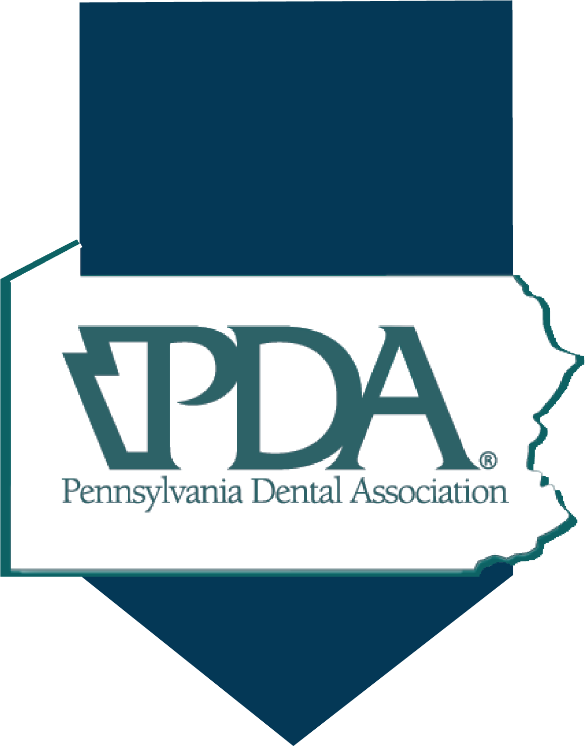 PDA Logo_BlueBanner_New2.png