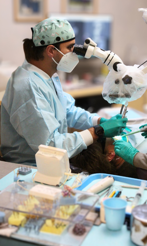 Dr. Varun Solanki treating through microscope