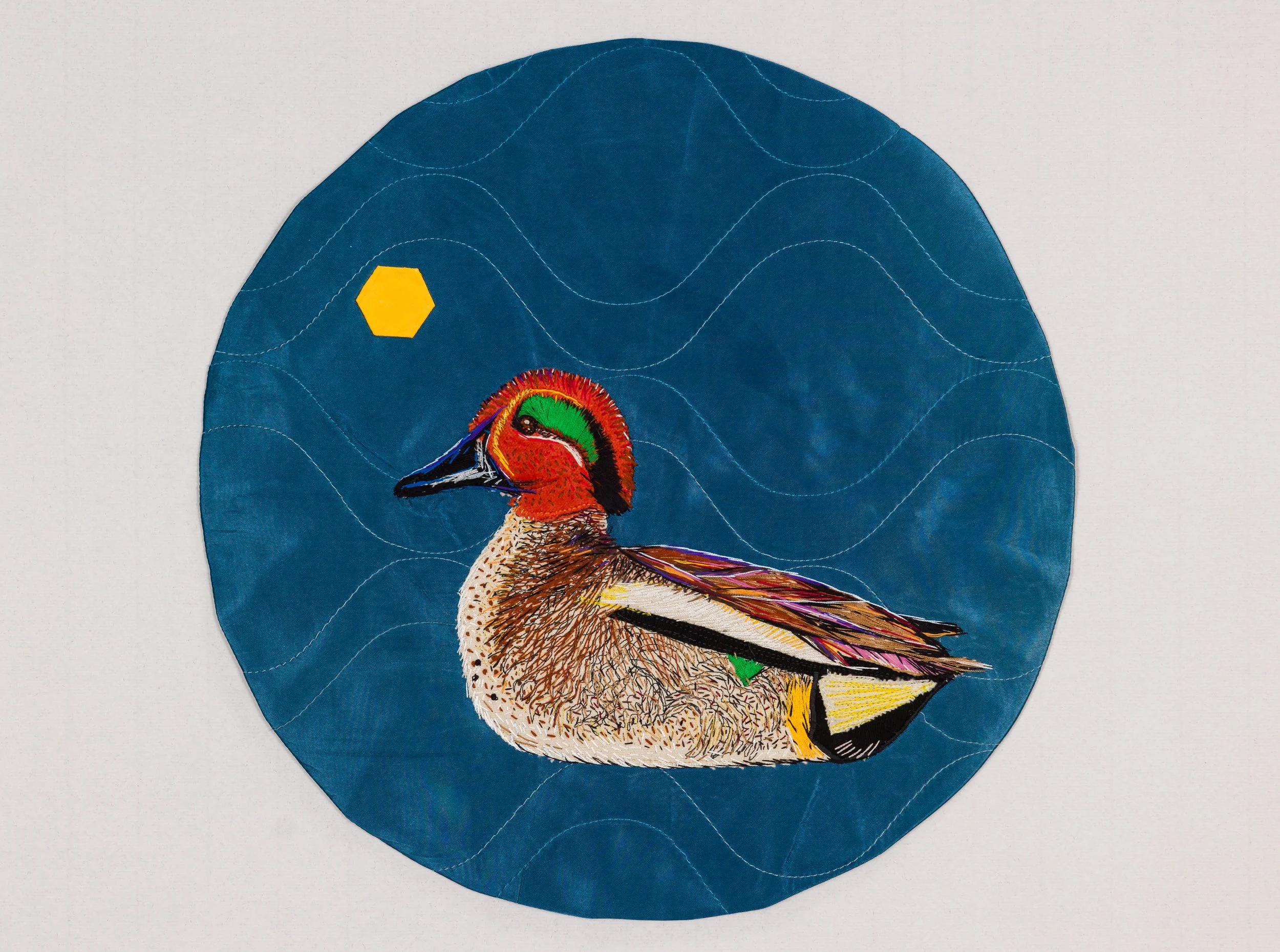 green winged teal
