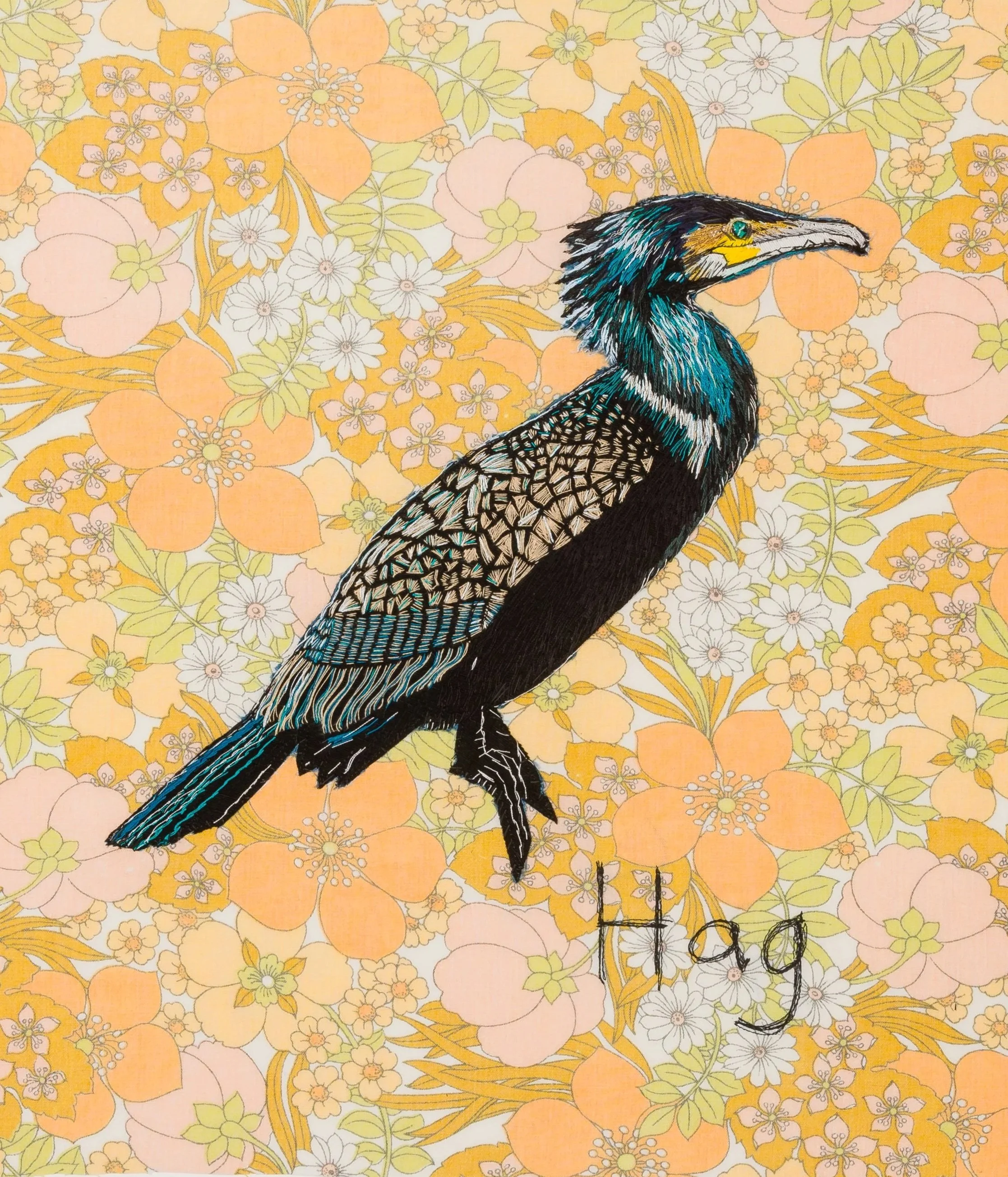 Hag