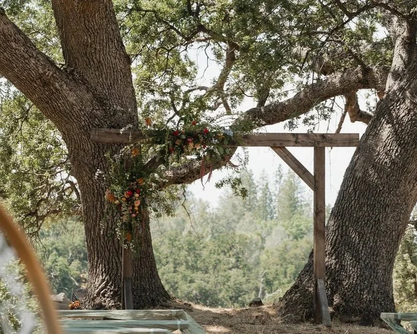 A wooden arch decorated with flowers set between two large trees in an outdoor setting, likely for a wedding ceremony.