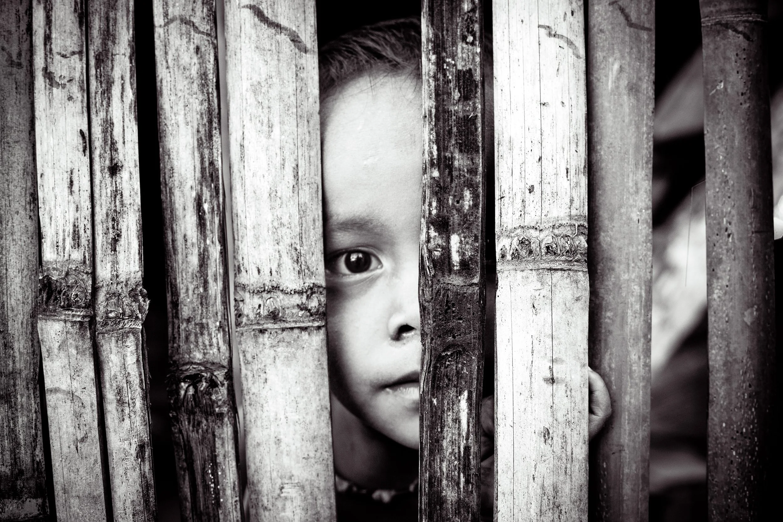 2023, Vietnam. Digital print.