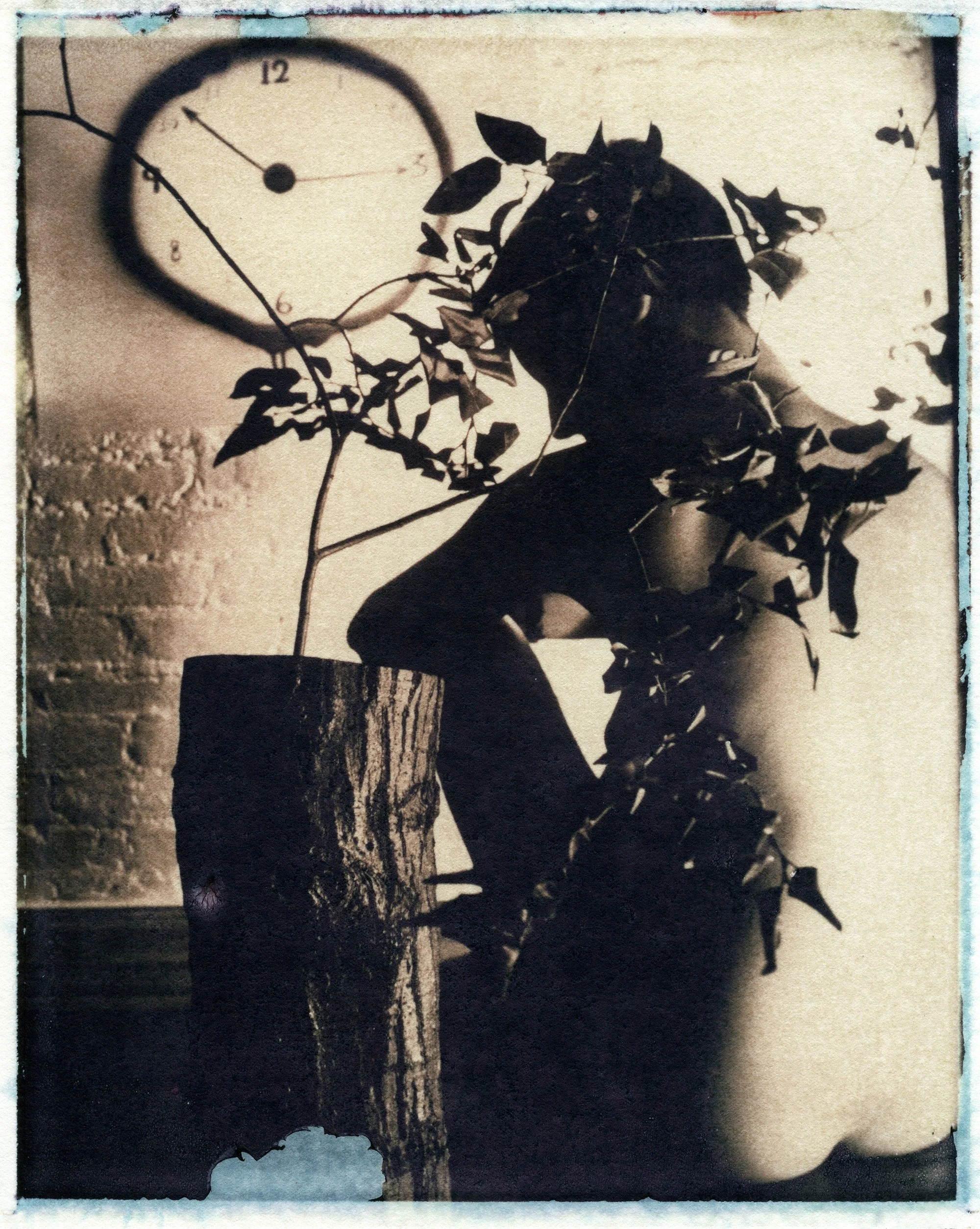 1995, New York. Polaroid transfer.
