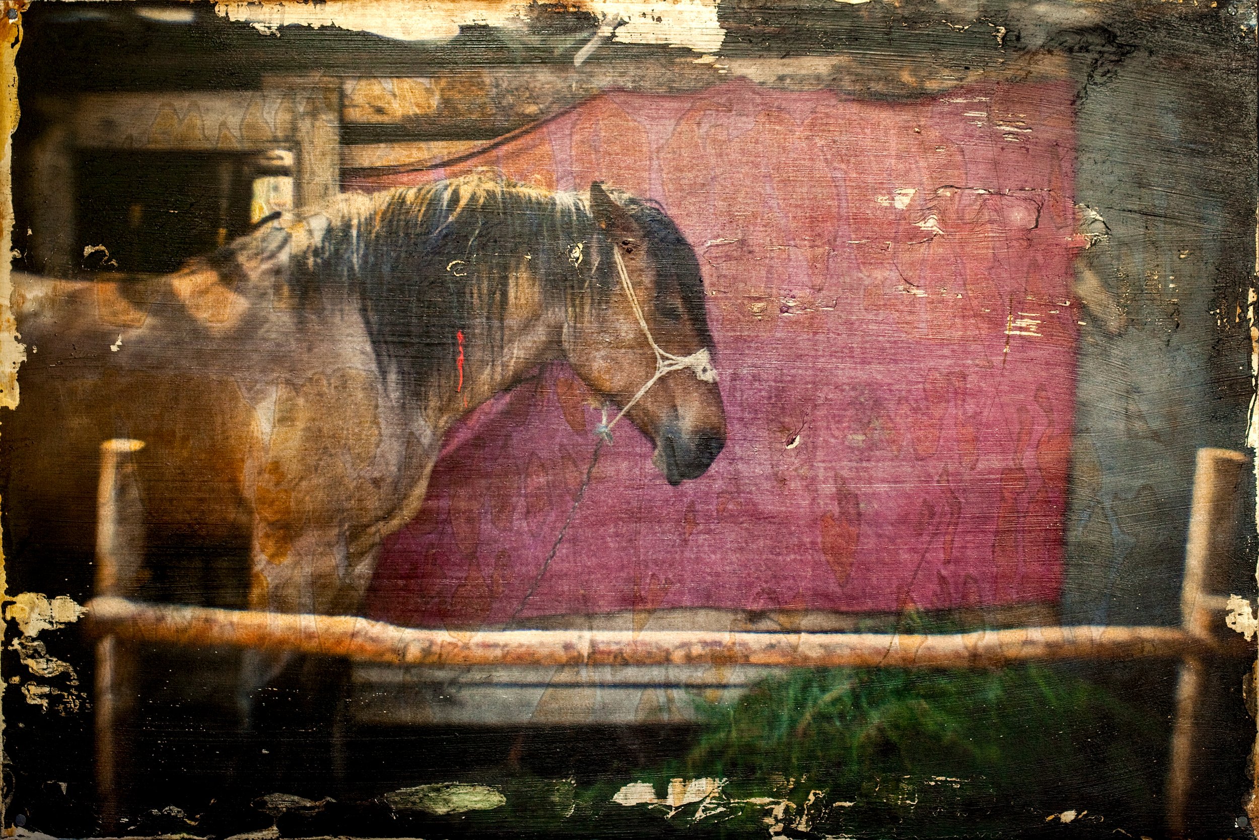 2011, Greece. Tin plate - Image transfer.