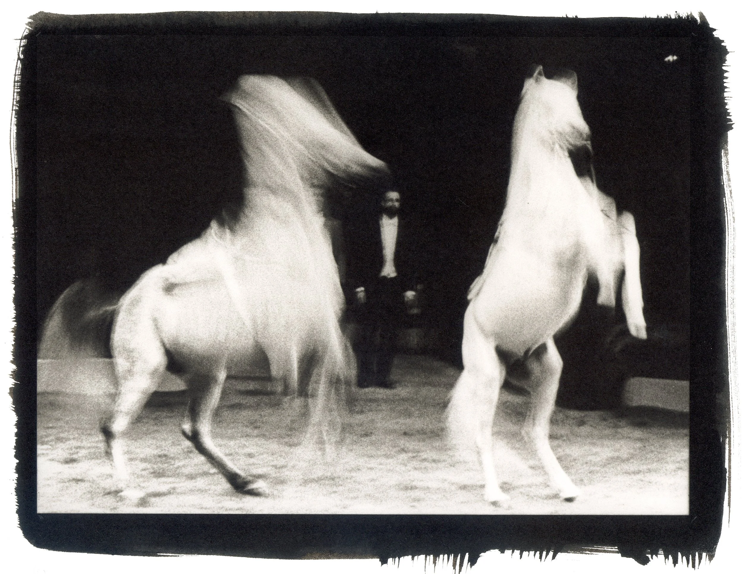 1994, New York. Platinum Palladium print.