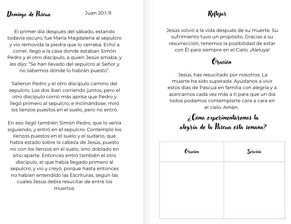 Image 3-25-26 at 4.28 PM.jpeg