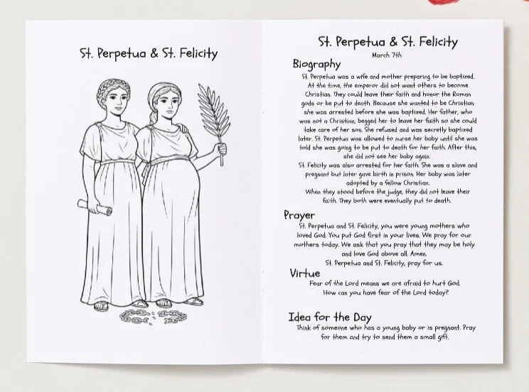 Image 2-19-26 at 9.51 PM.jpeg