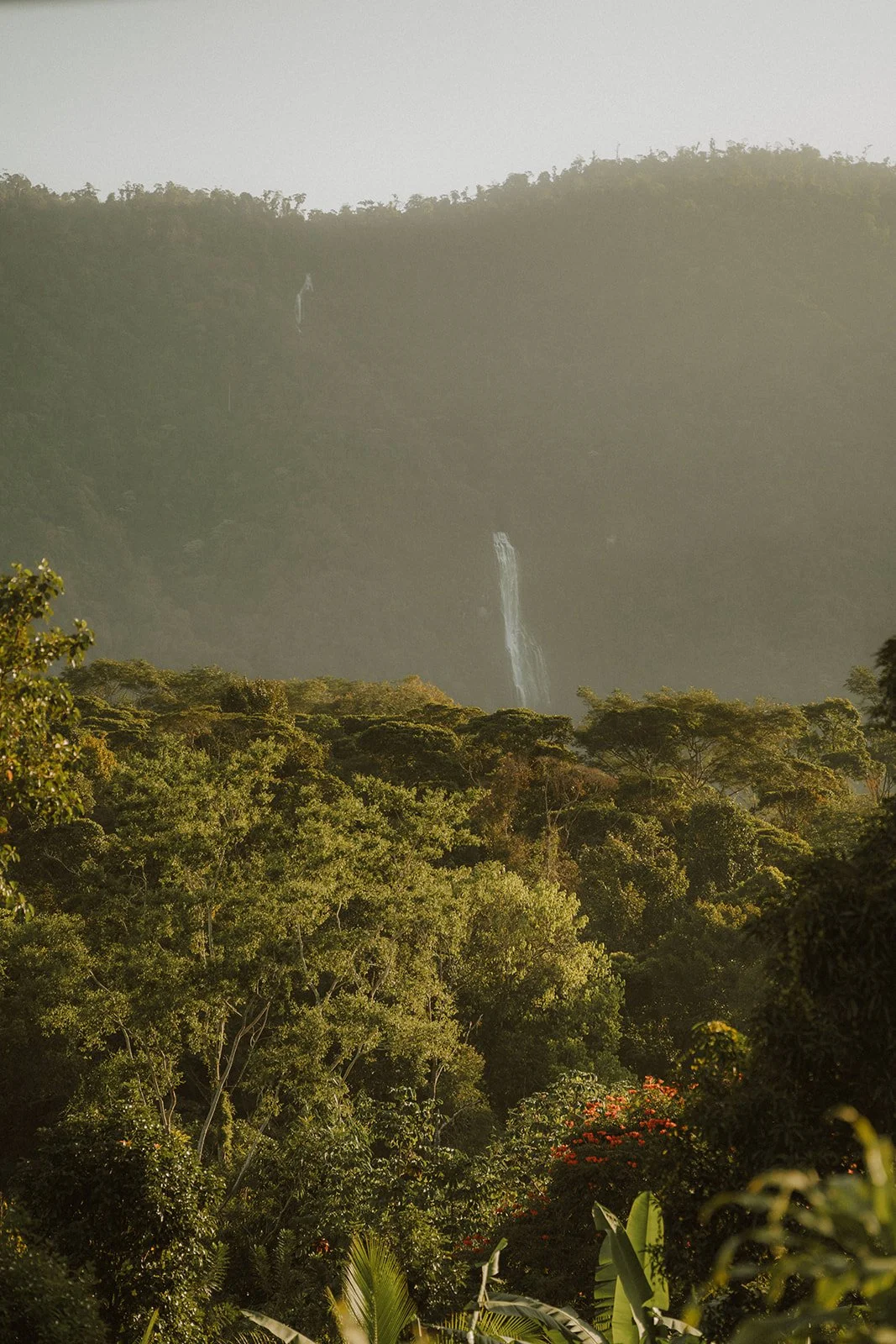 rainforest waterfall in costa rica