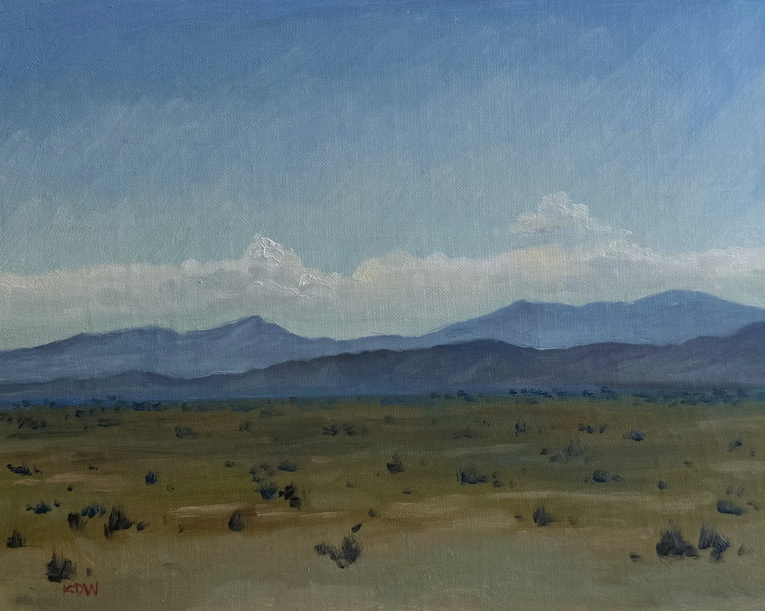 New Mexico Drive Study