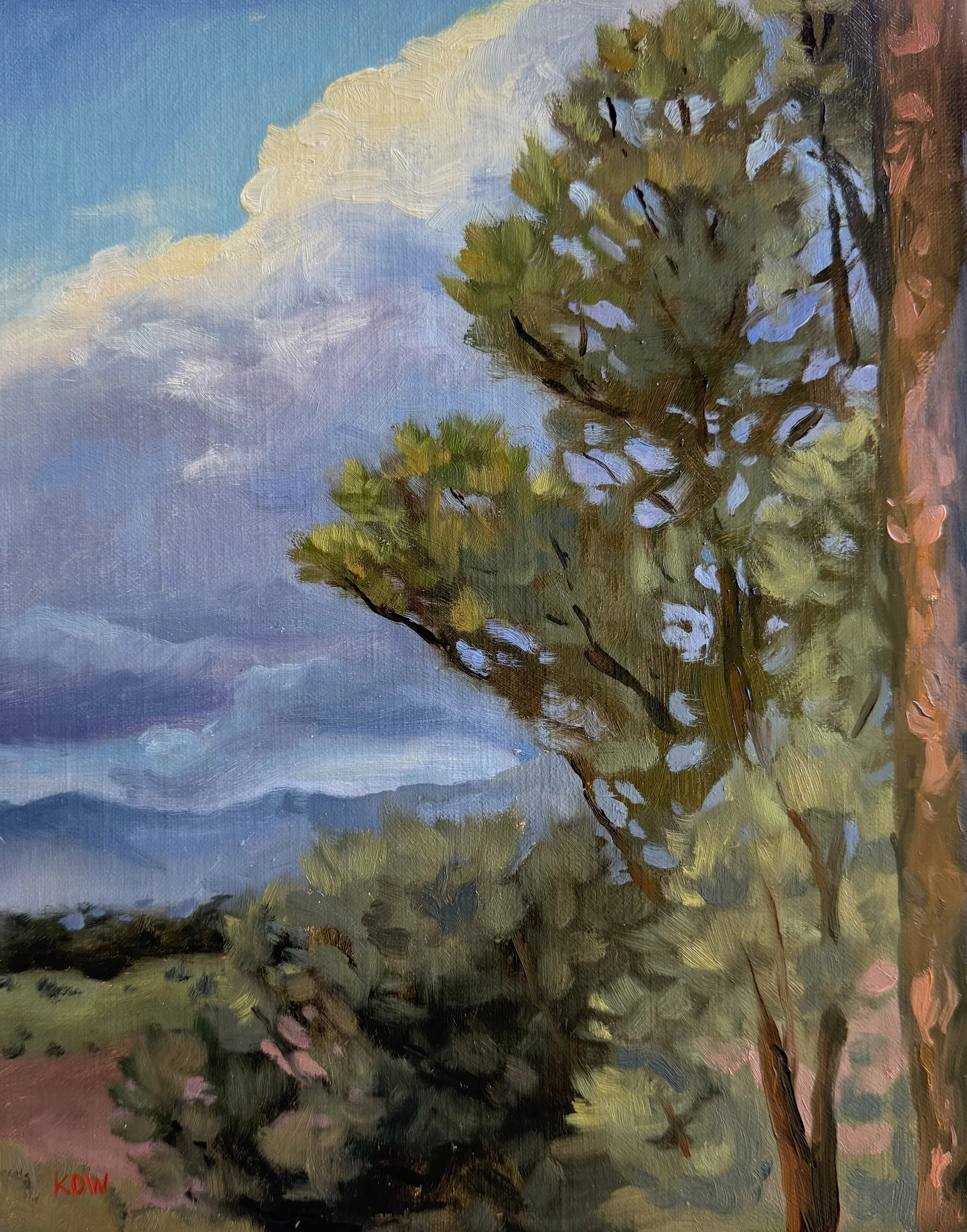 Alto, NM Study