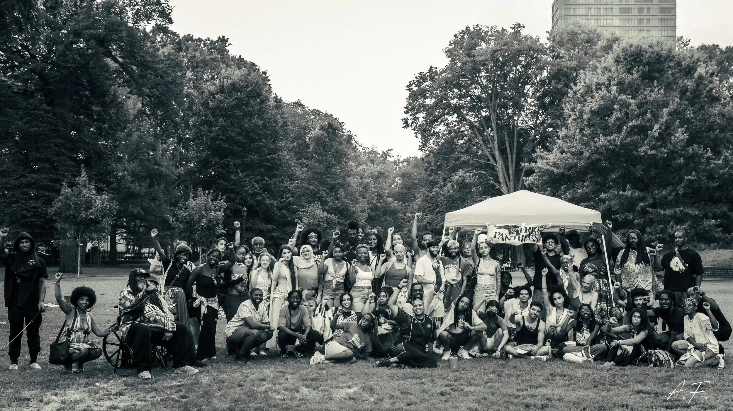 A large group of people gathered outdoors in a park, some standing and some sitting, with trees and a canopy tent in the background. Many individuals are raising their fists in a sign of solidarity.