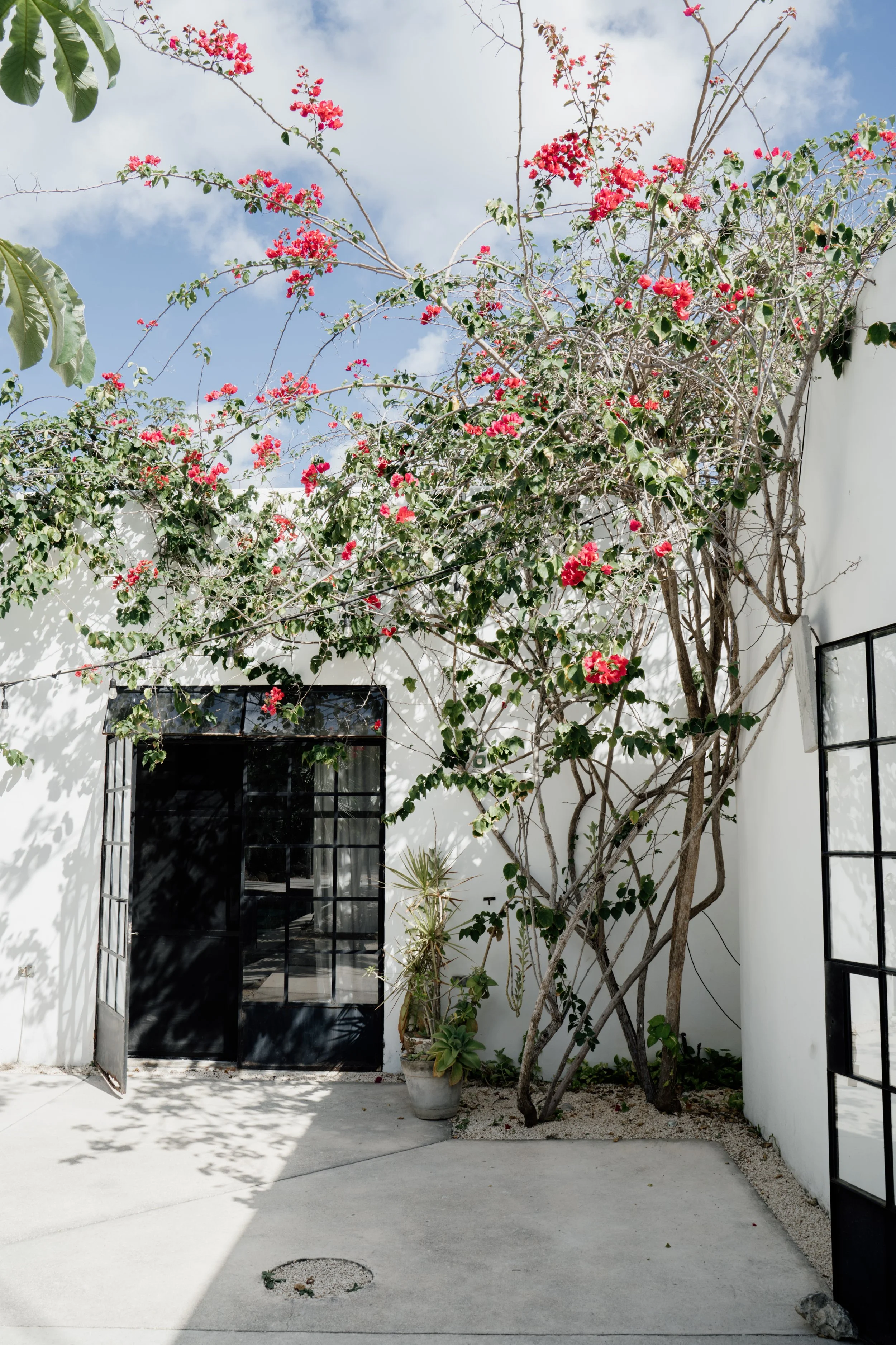 Kima Tulum -20.jpg