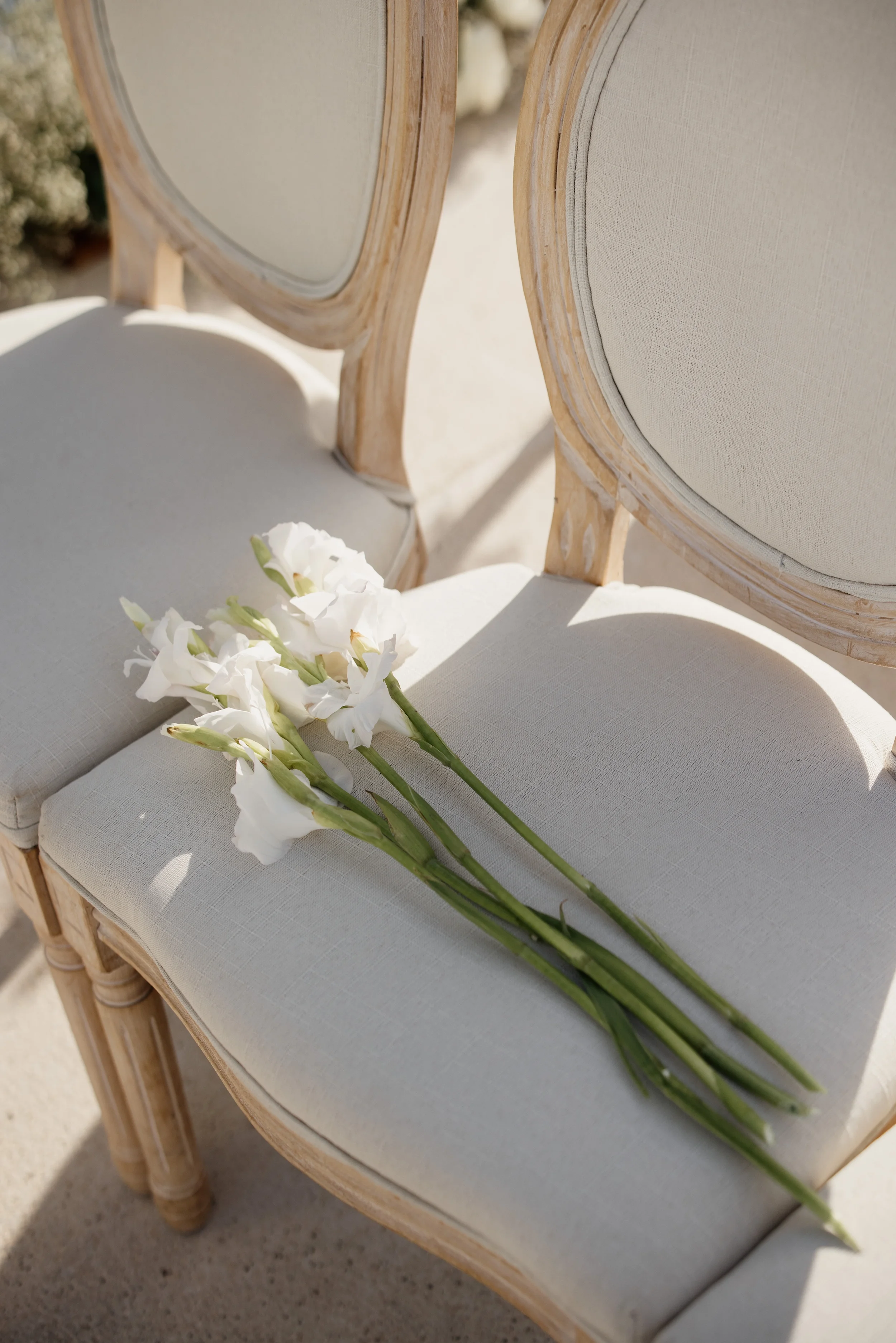 ava-resort-cancun-wedding-photographer-5 - Copy.webp