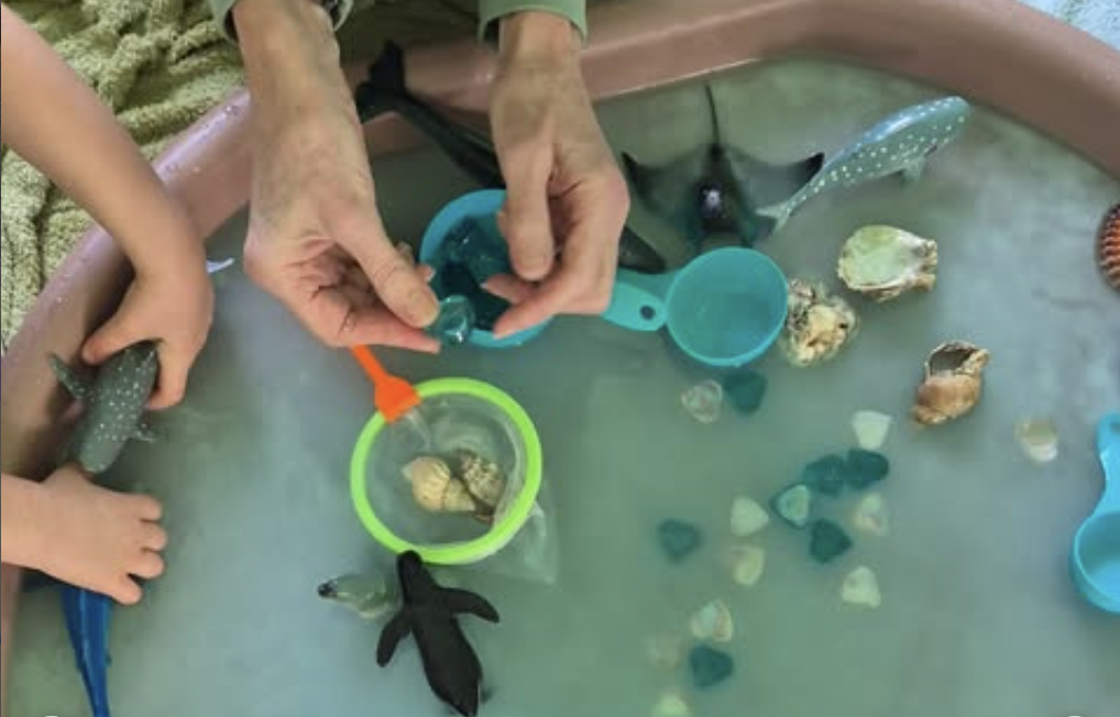 Little Sprouts Sensory Play