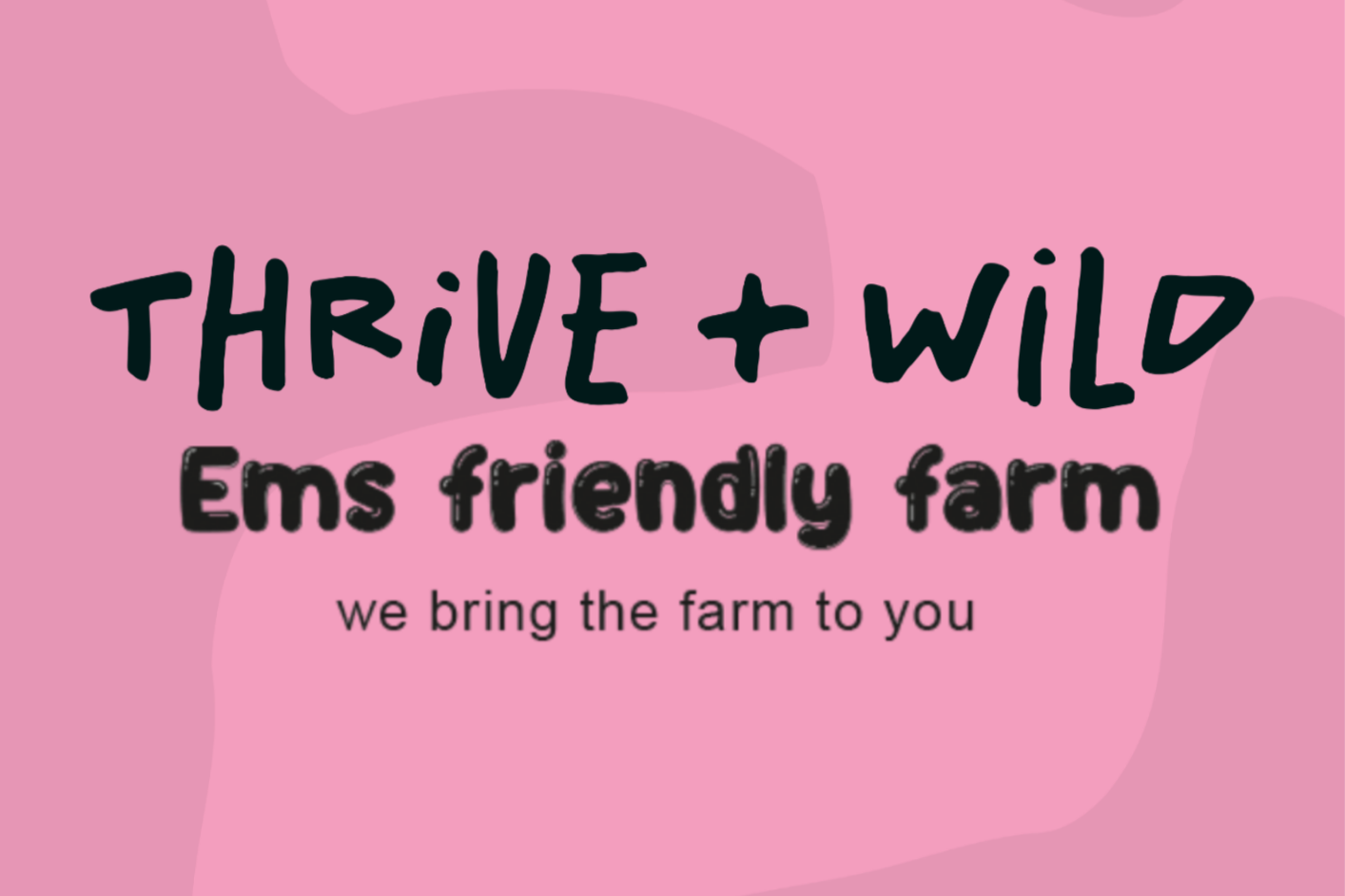 Em’s Friendly Farm