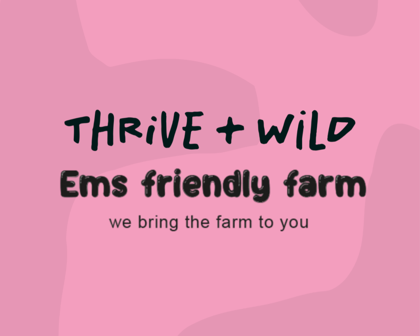 Em’s Friendly Farm