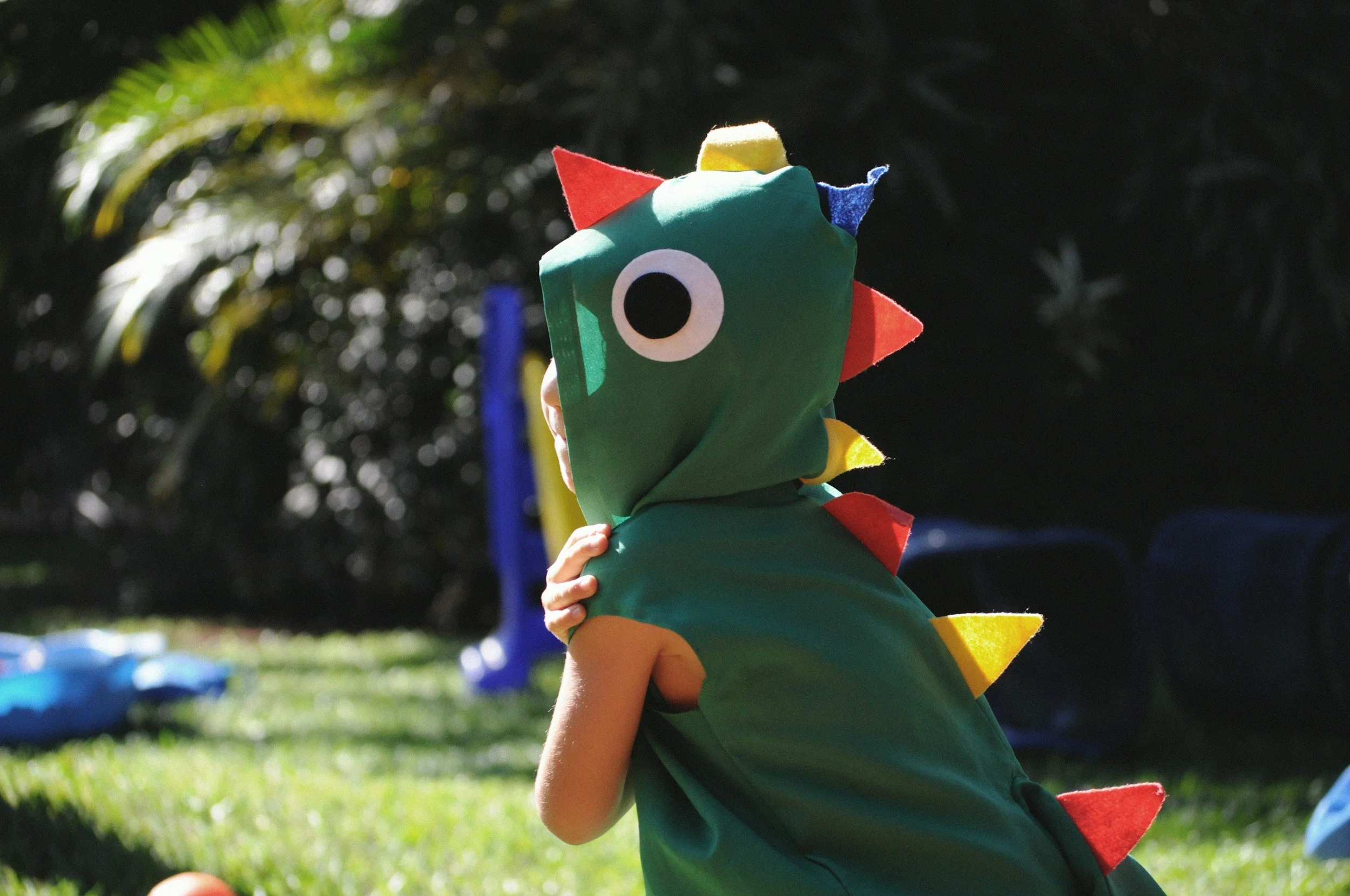 Roar + Explore