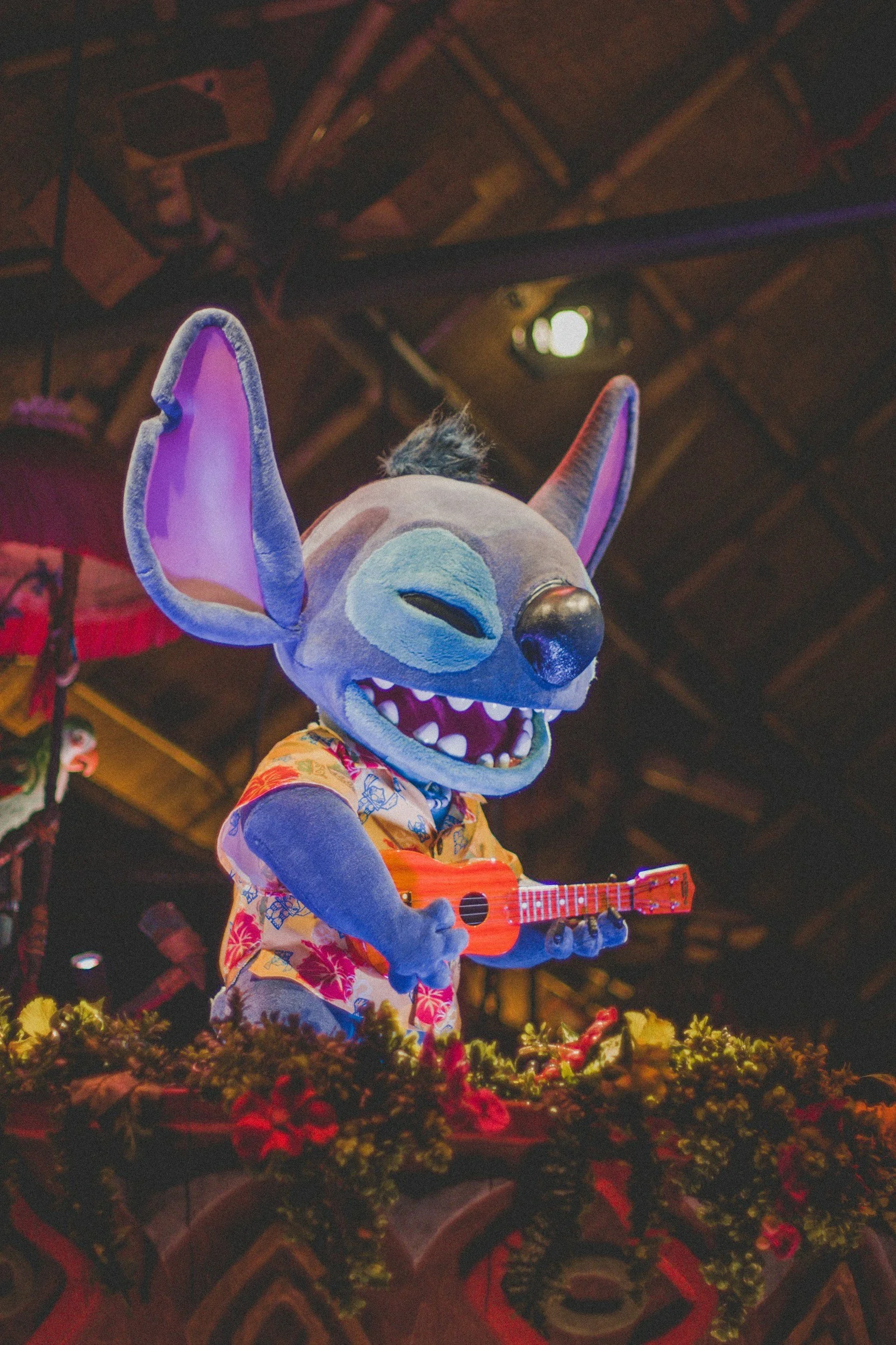 Aloha Adventure
