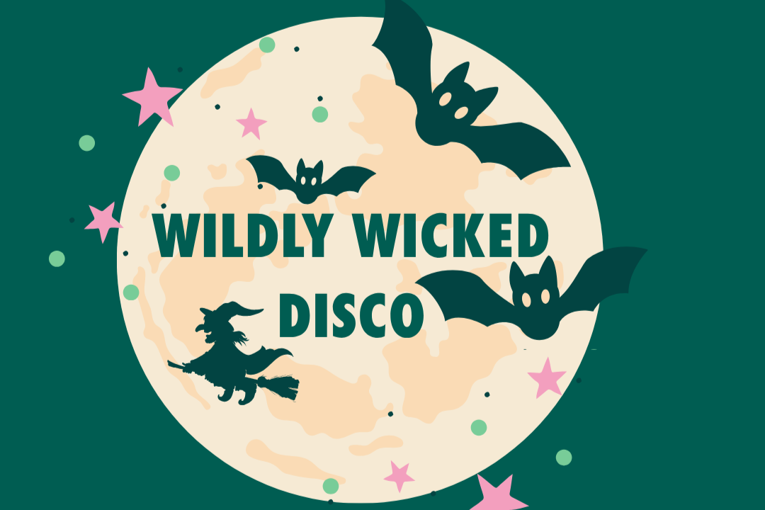 Wildly wicked soft play disco