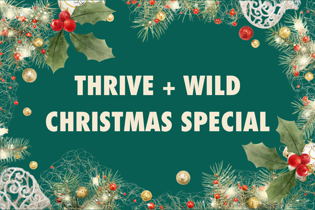 Christmas at Thrive + Wild