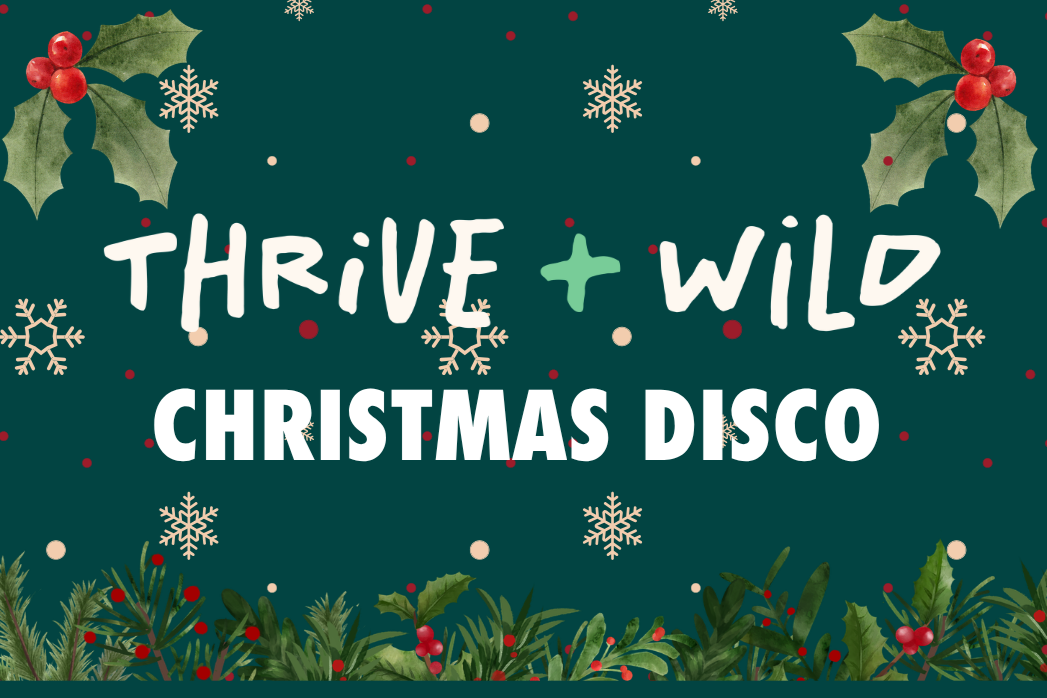 Christmas Disco