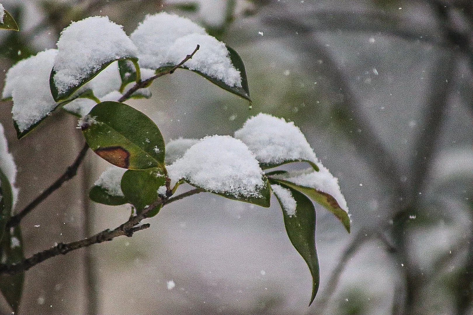 Edit 20: Let There Be Sneaux