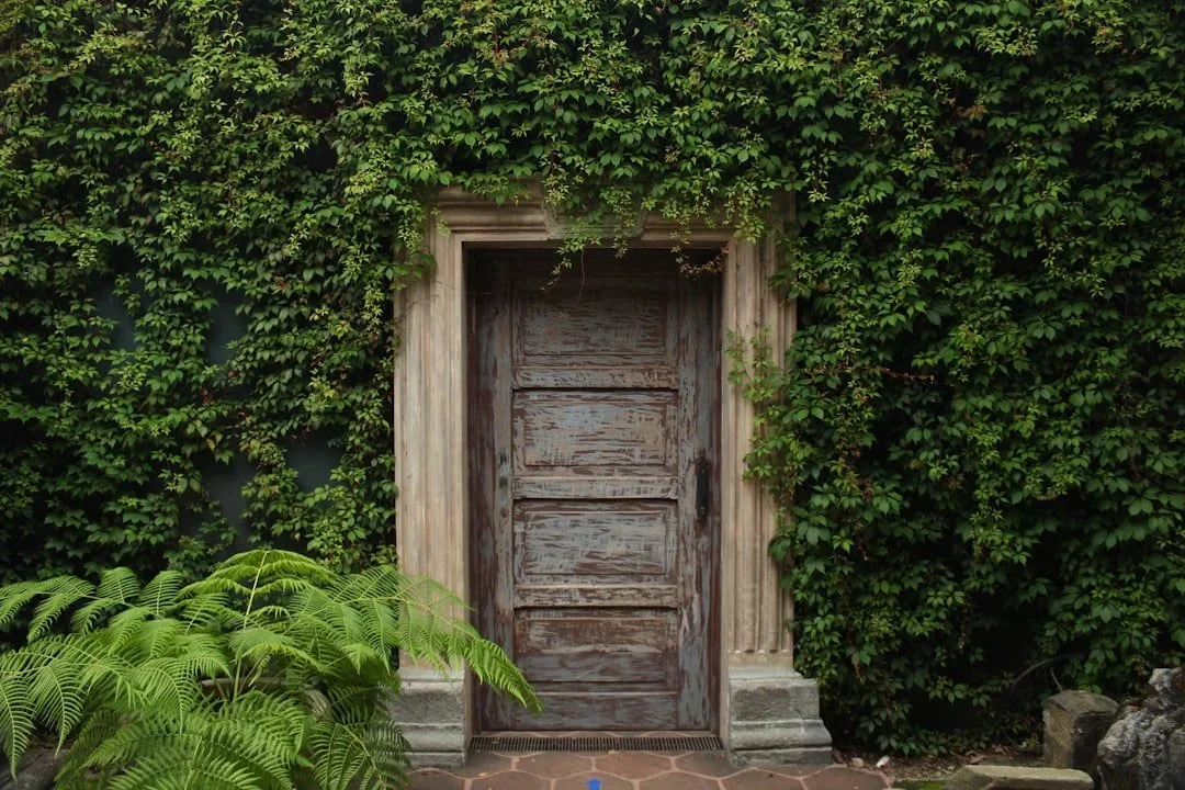 A closed doorway in natural light reflecting boundaries, visibility, and adult friendships.