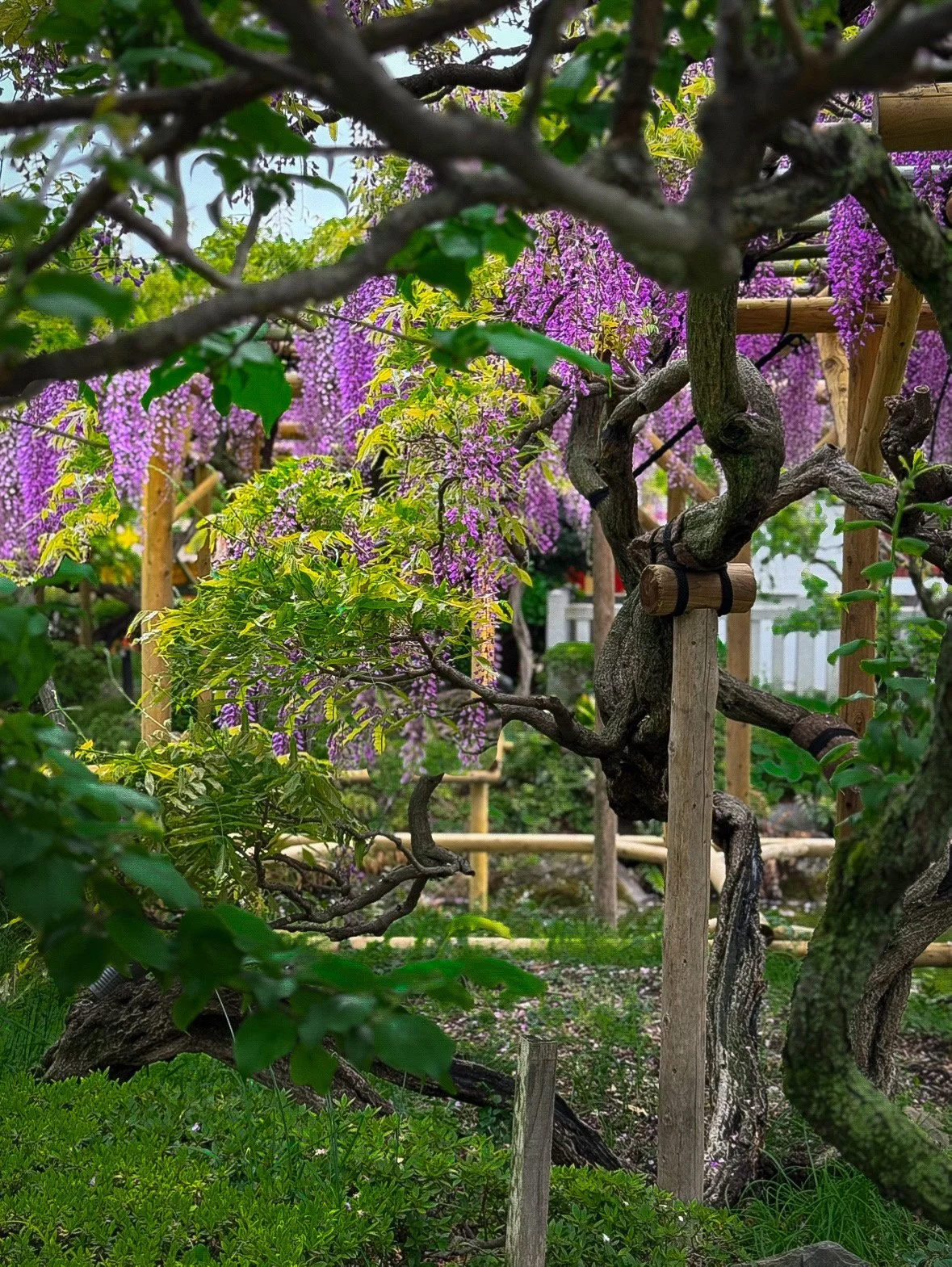 Edit 28: Roots and Reach